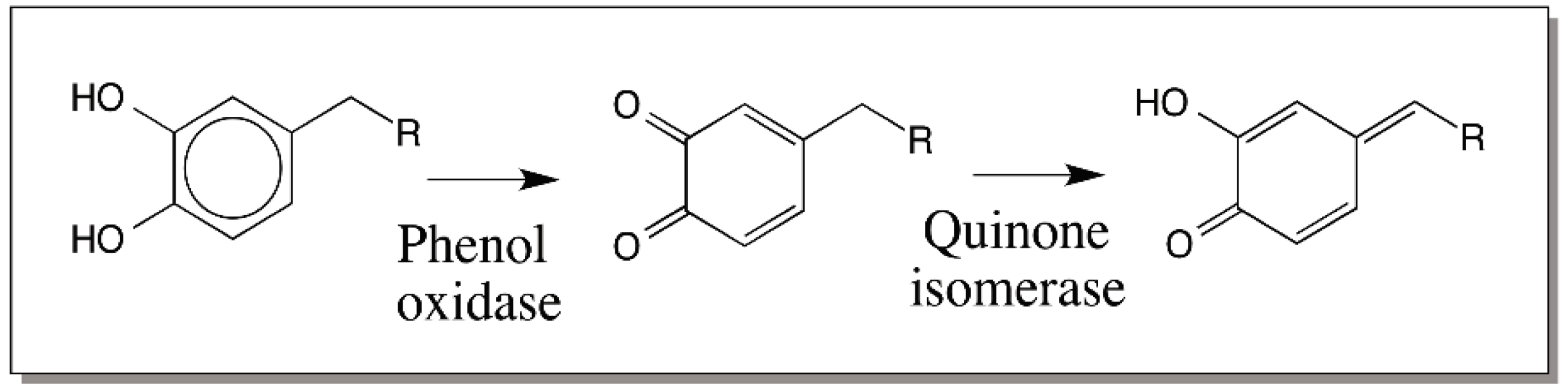 Ijms 17 01576 g011