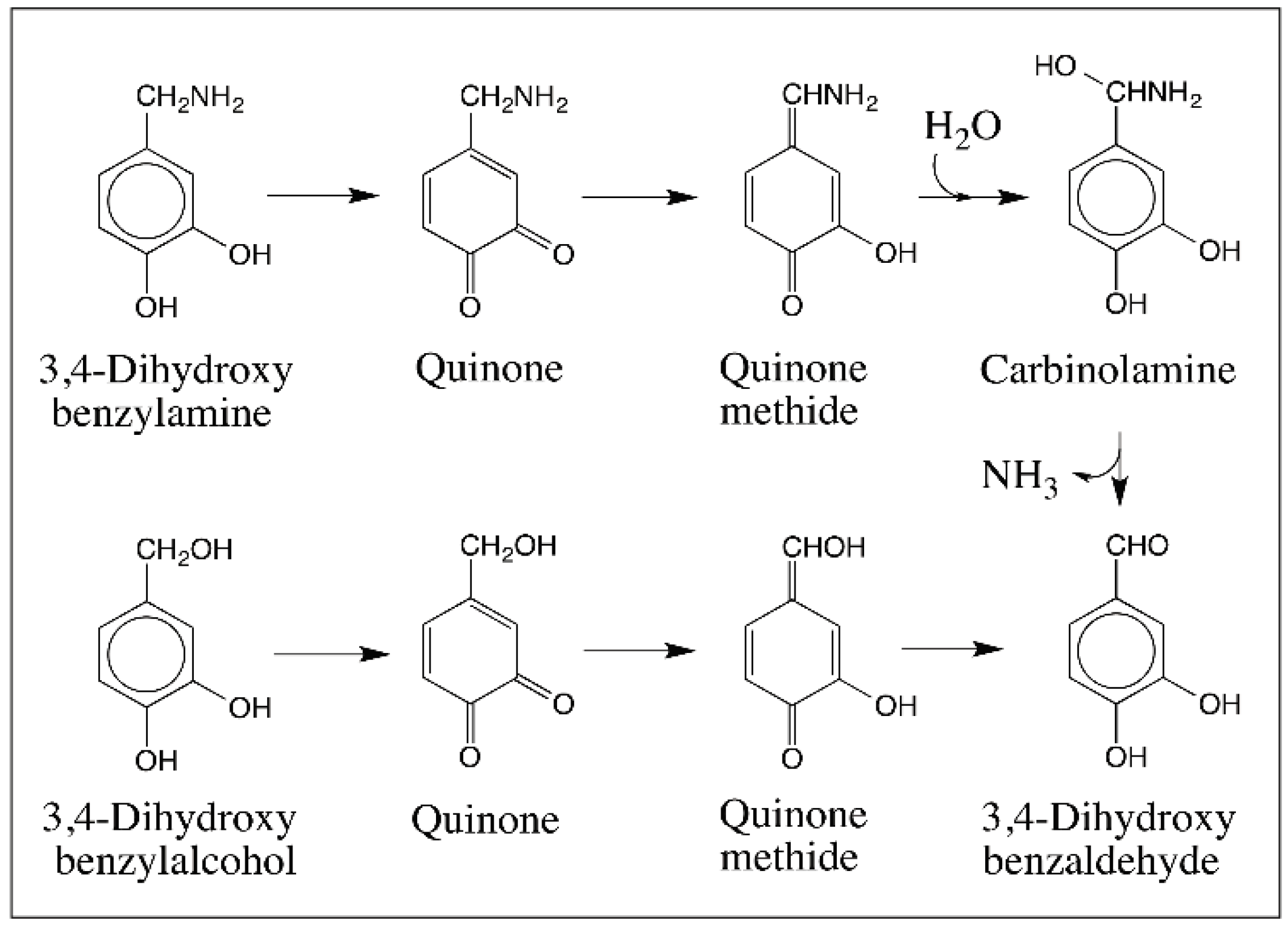 Ijms 17 01576 g012