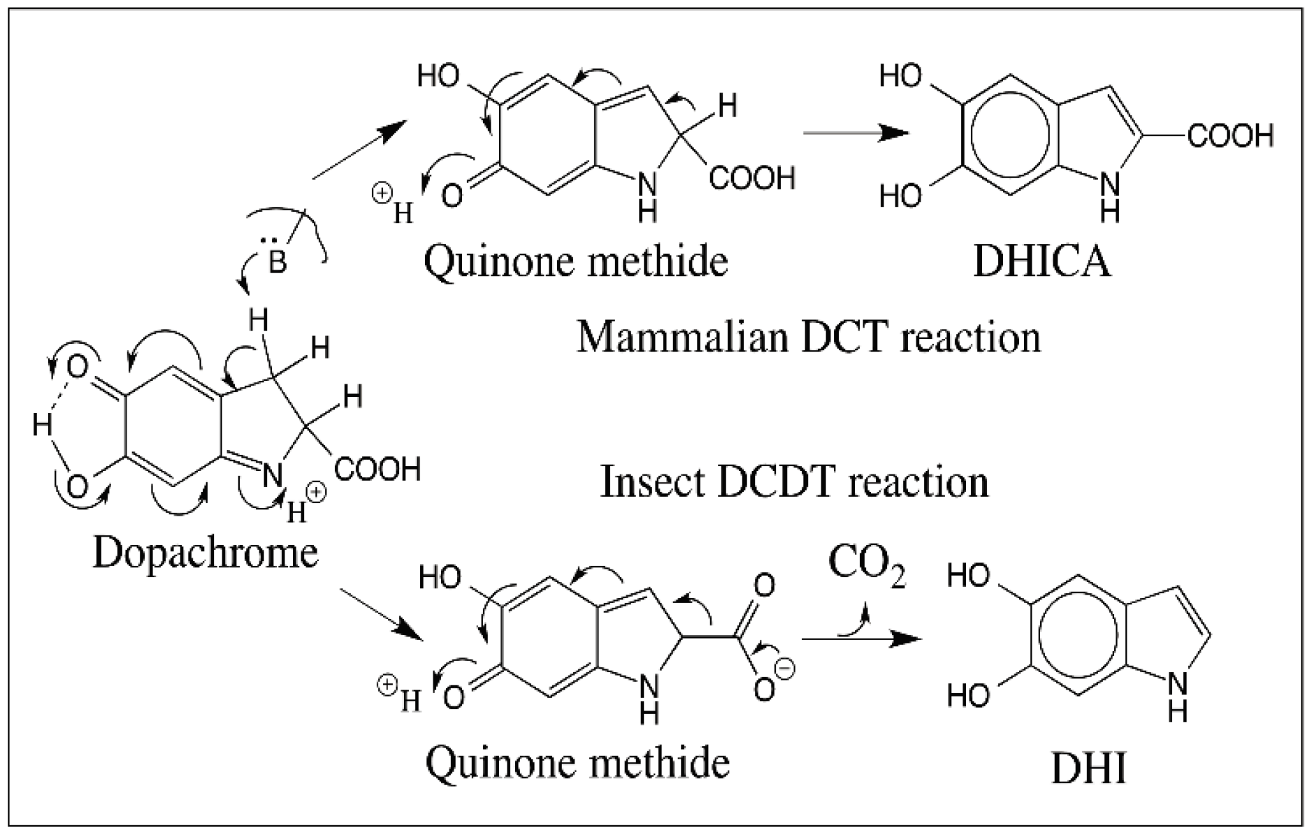 Ijms 17 01576 g018