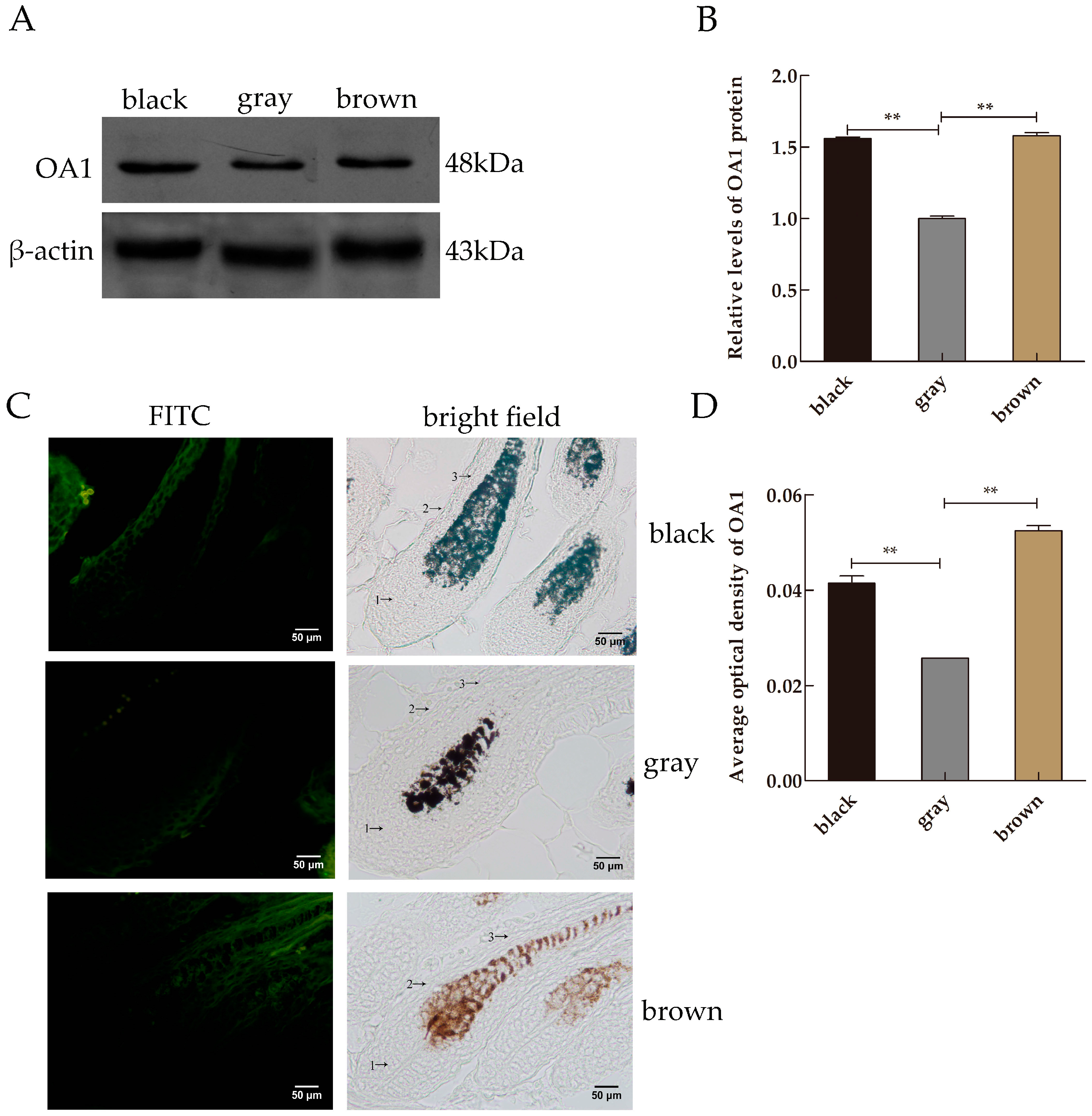 Ijms 17 01596 g002