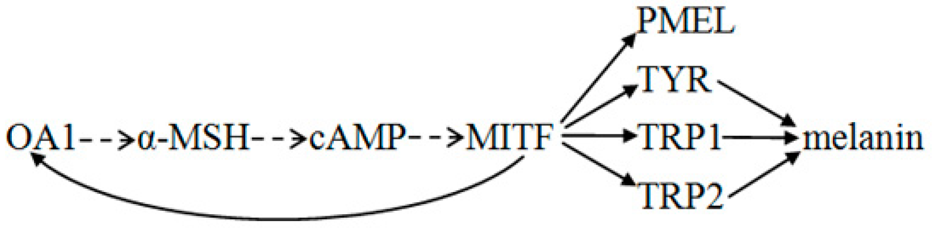 Ijms 17 01596 g005