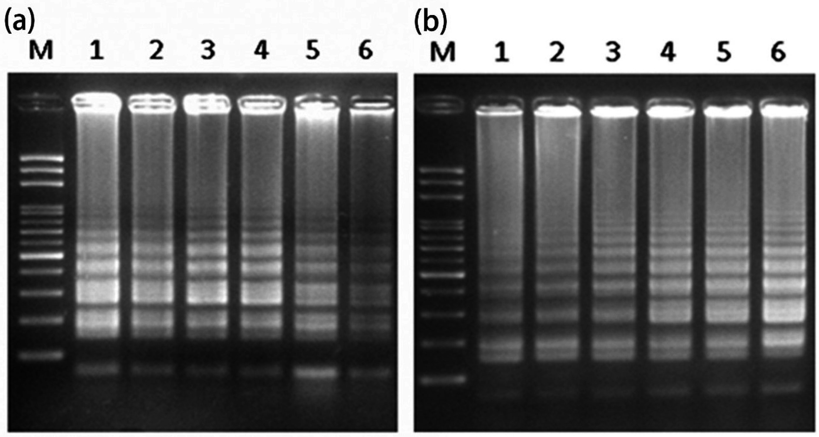 Ijms 17 01630 g001
