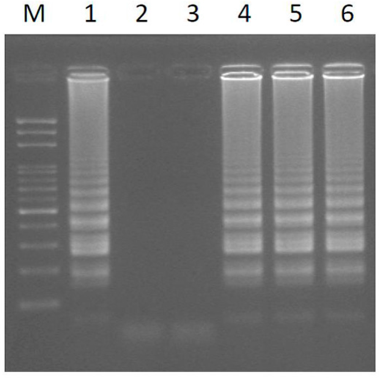 Ijms 17 01630 g002