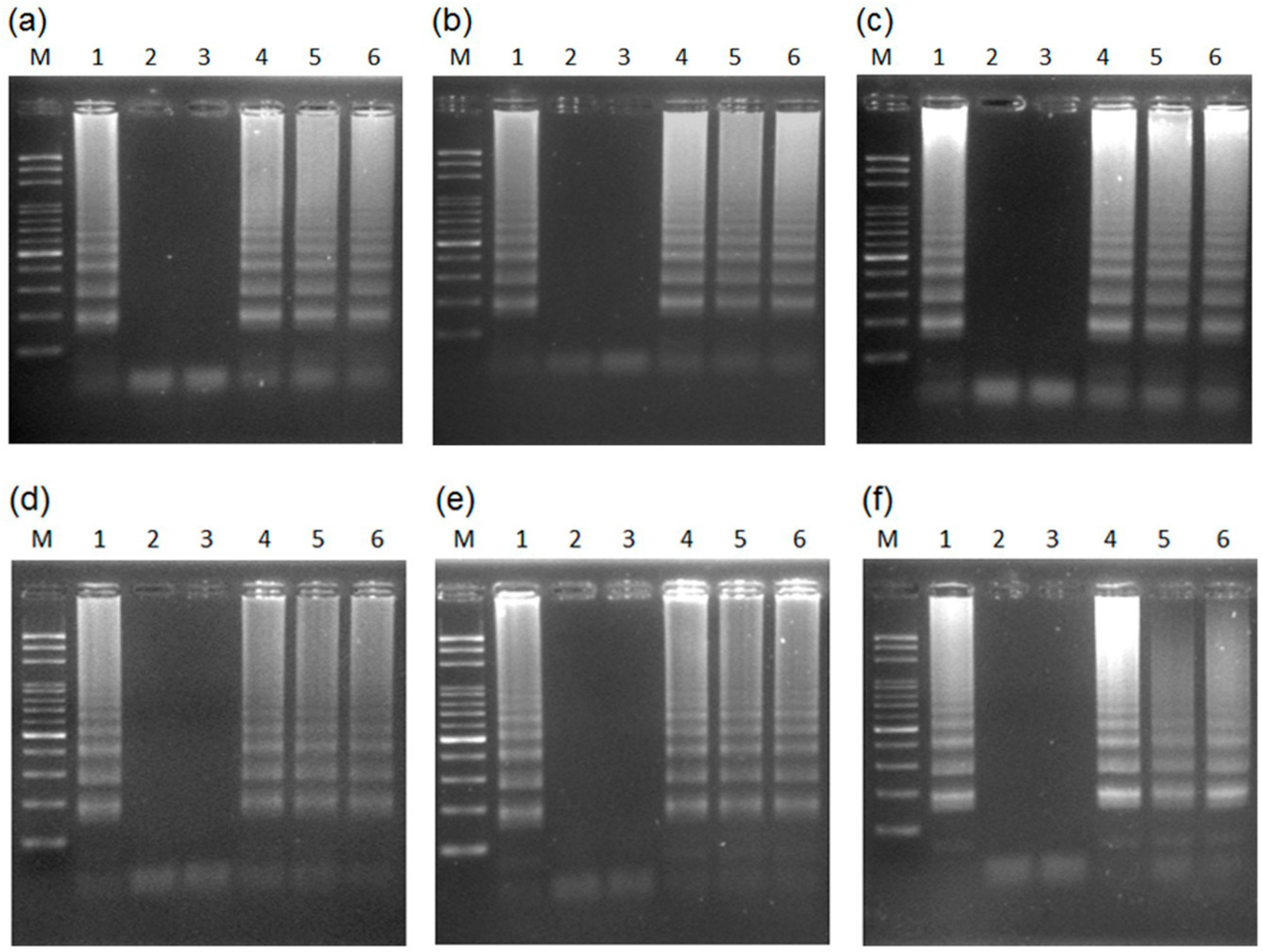 Ijms 17 01630 g003