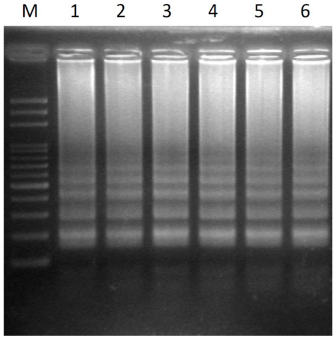 Ijms 17 01630 g004