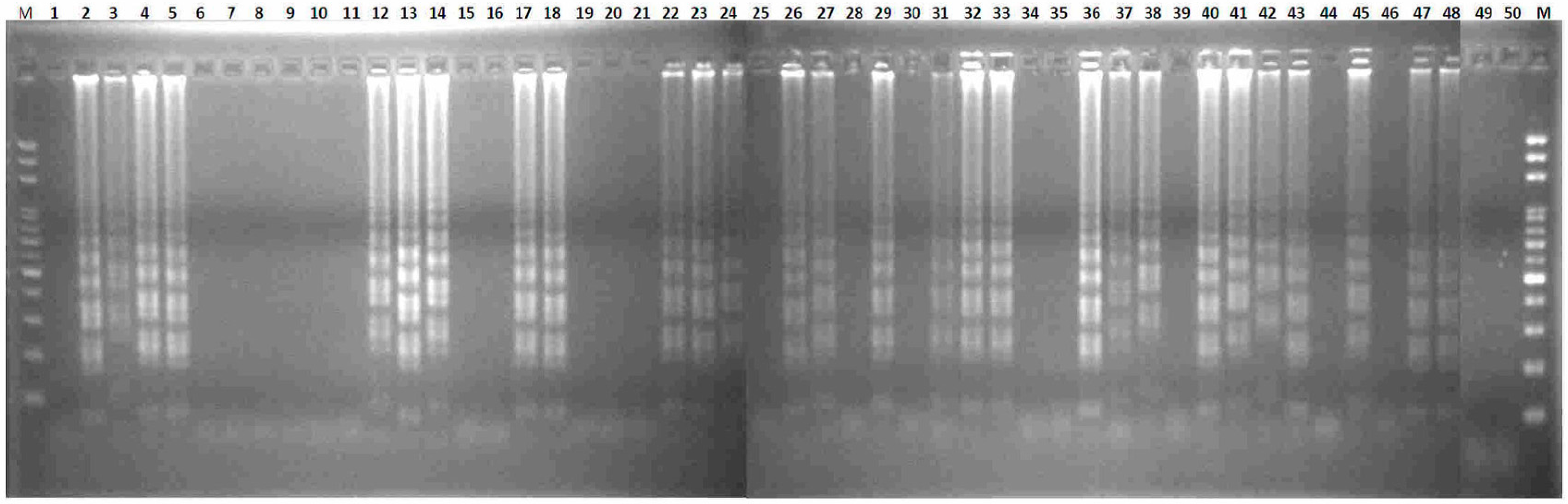 Ijms 17 01630 g005
