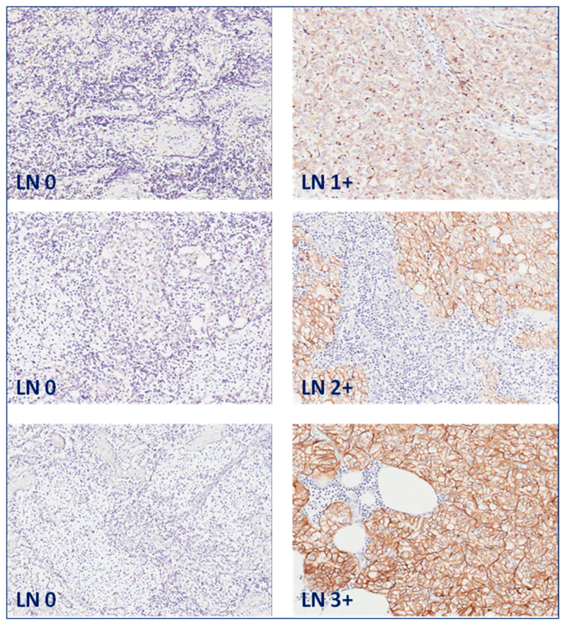 Ijms 17 01650 g001