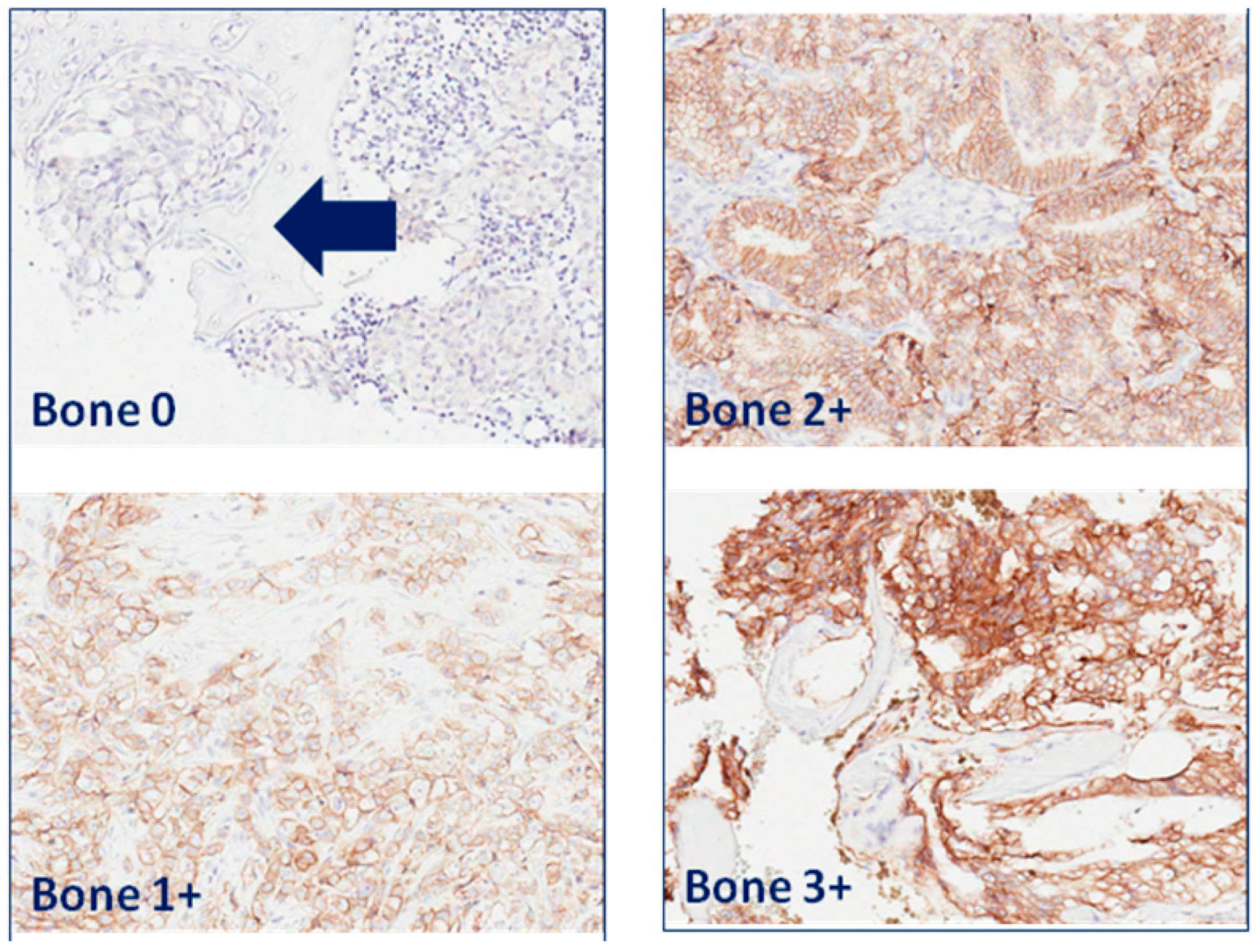 Ijms 17 01650 g002