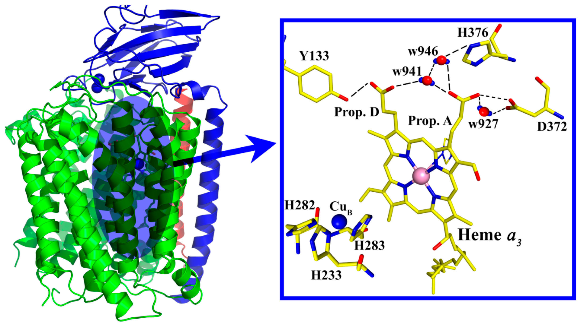Ijms 17 01657 g006