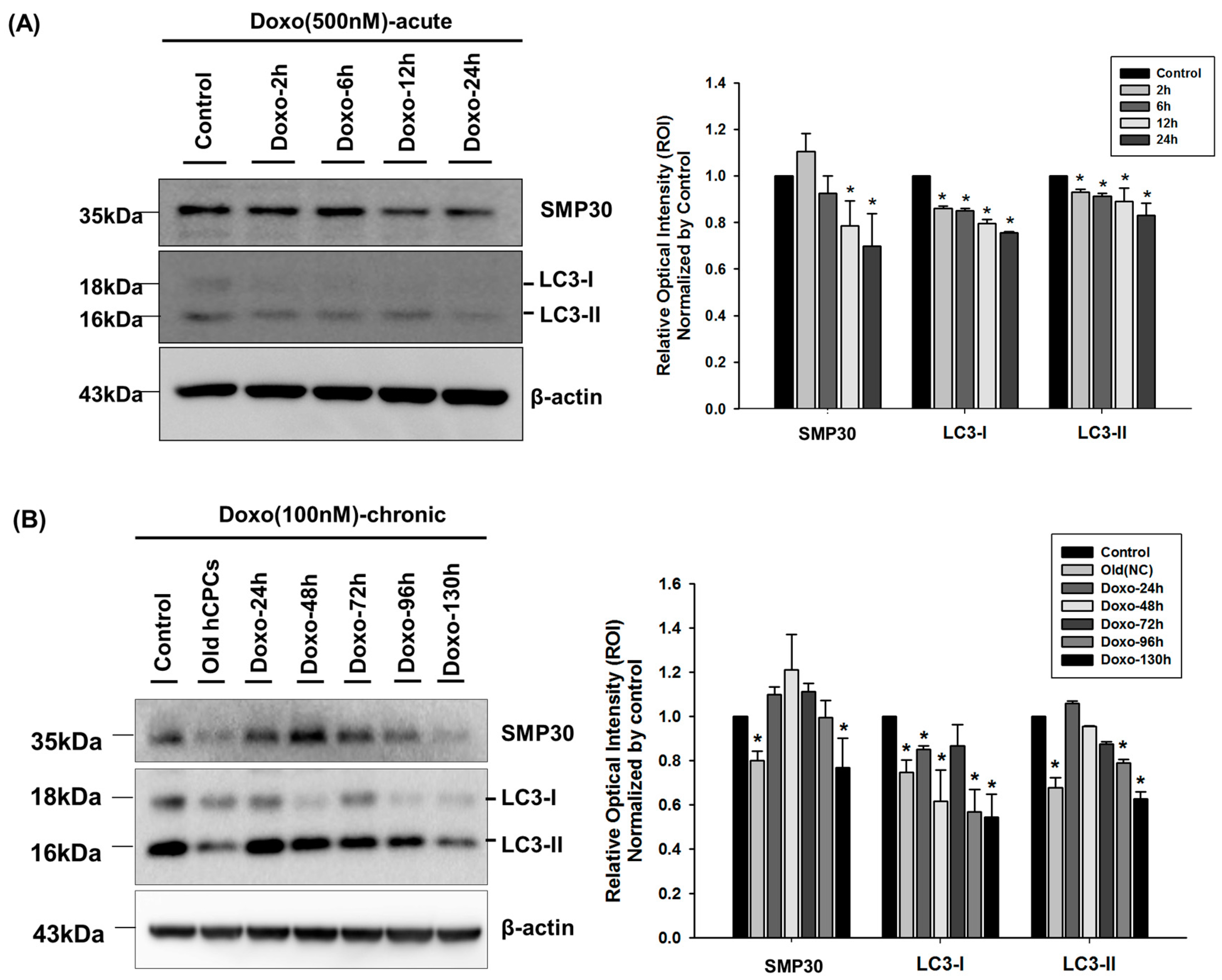 Ijms 17 01680 g002a