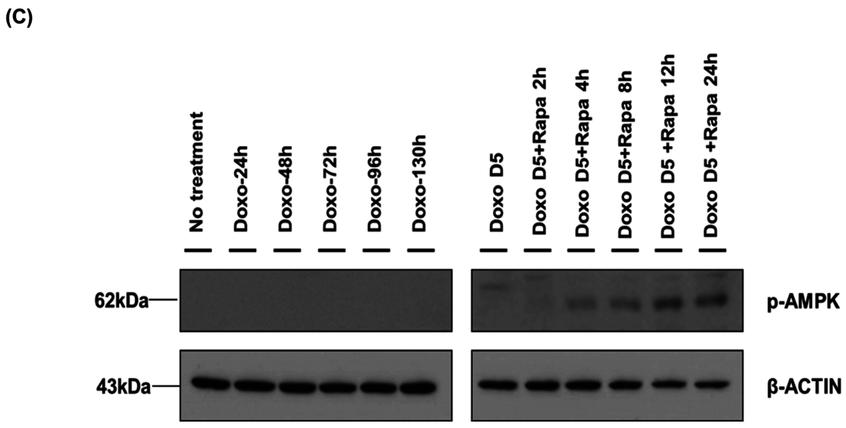 Ijms 17 01680 g003b