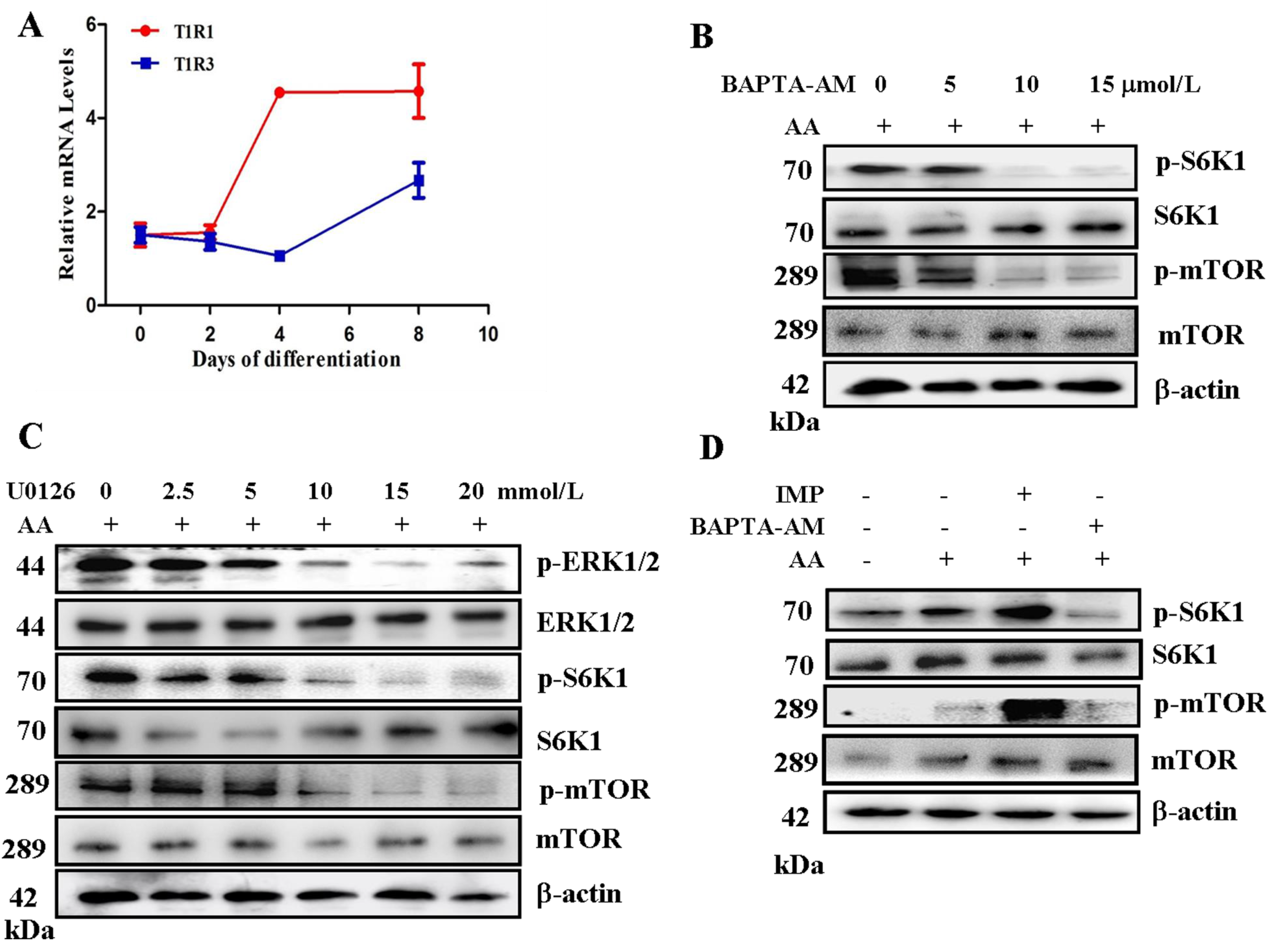 Ijms 17 01684 g001