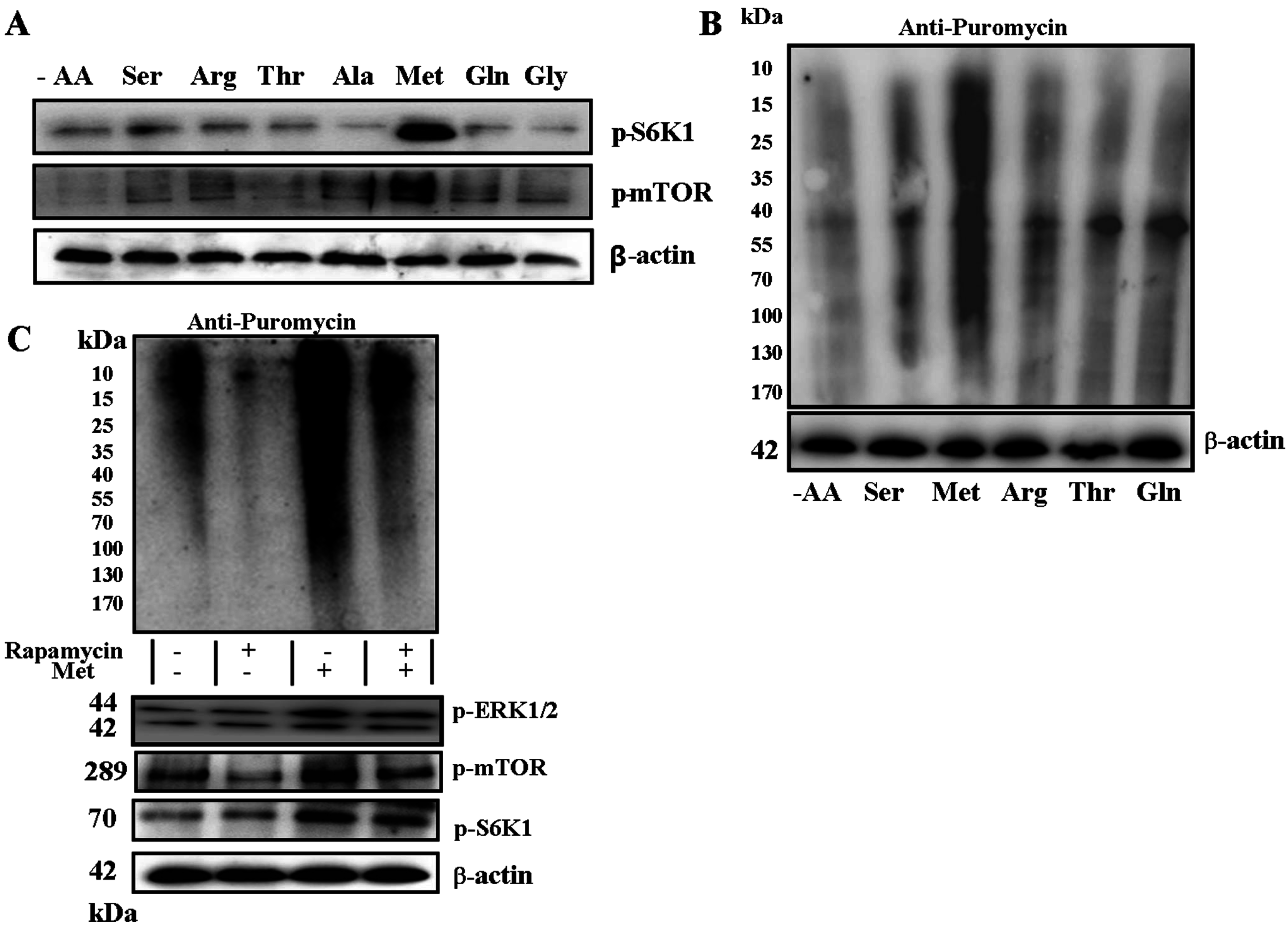 Ijms 17 01684 g002