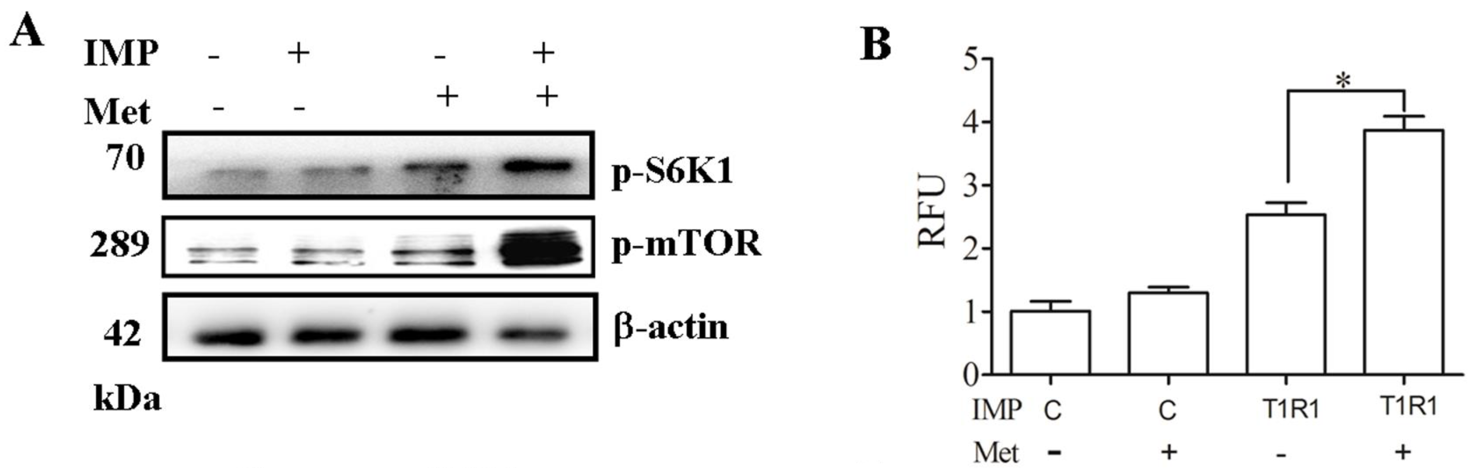 Ijms 17 01684 g004a
