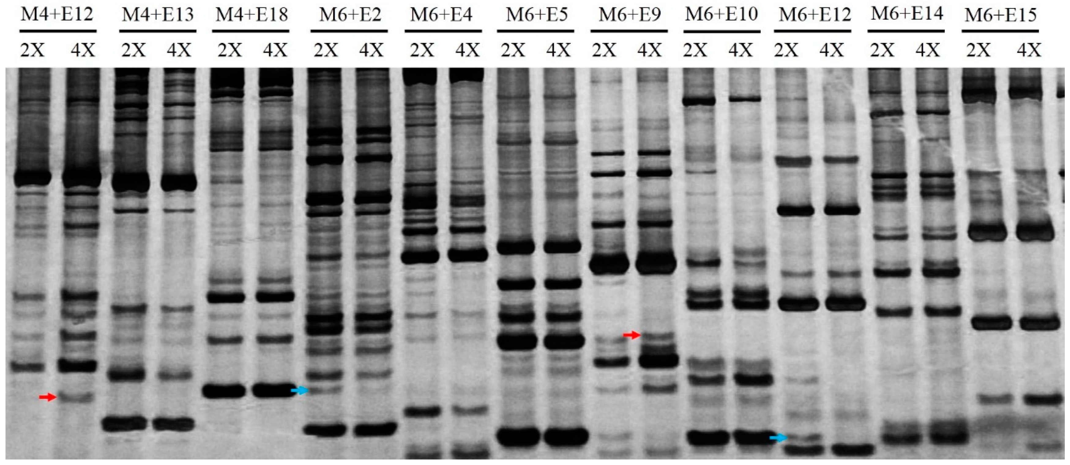 Ijms 17 01690 g002