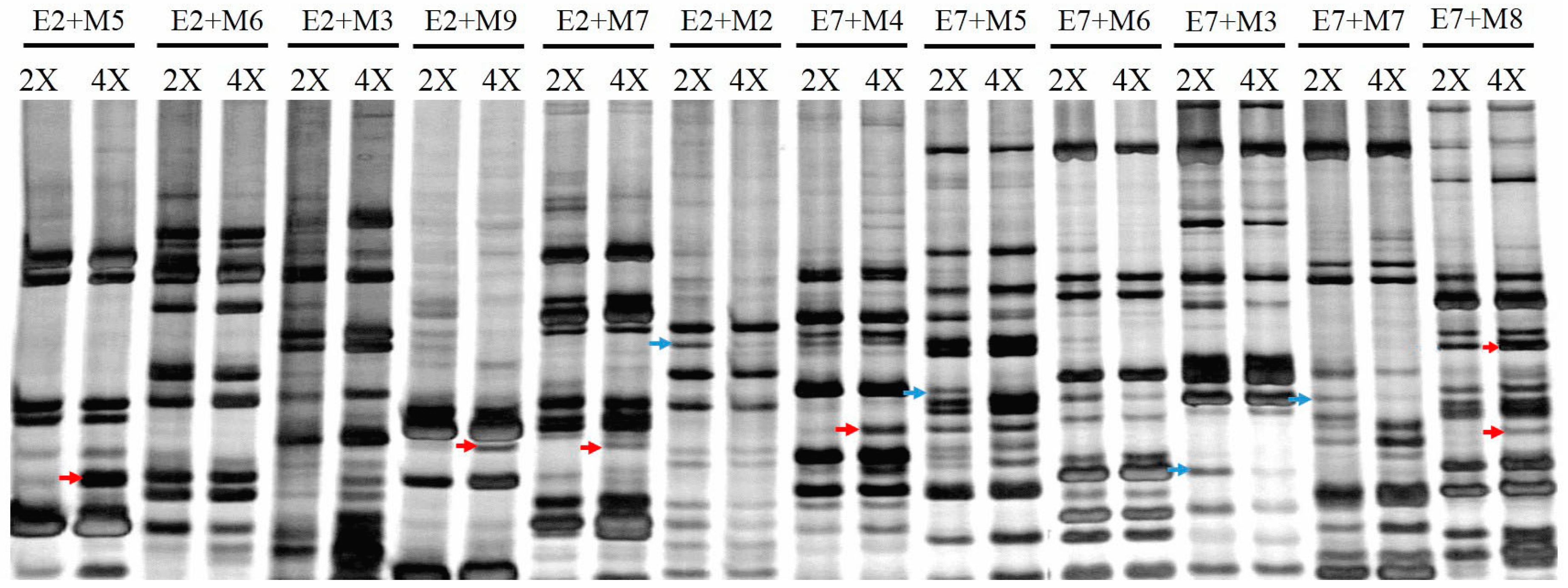 Ijms 17 01690 g003