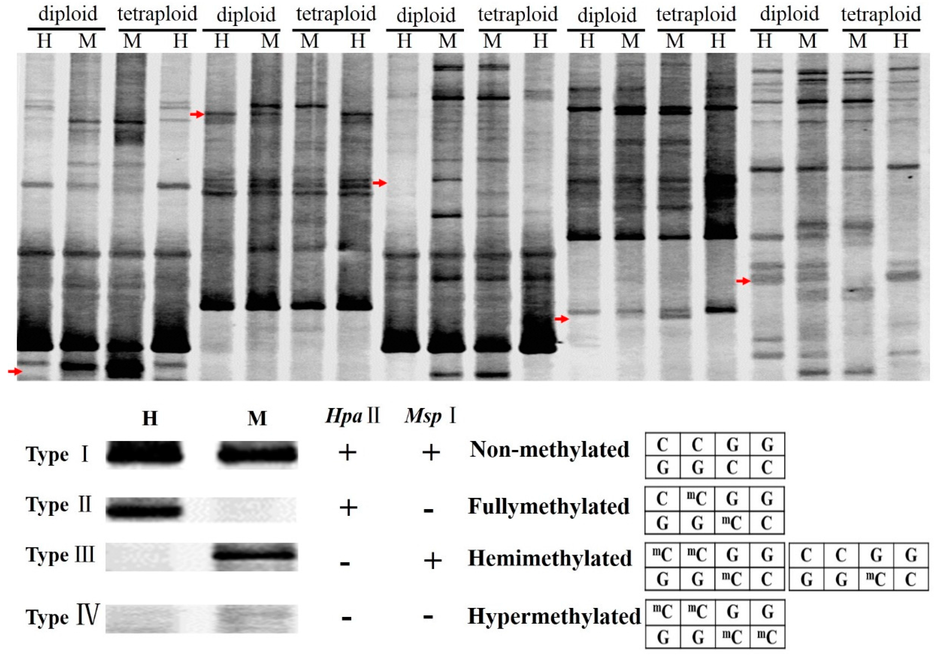 Ijms 17 01690 g004