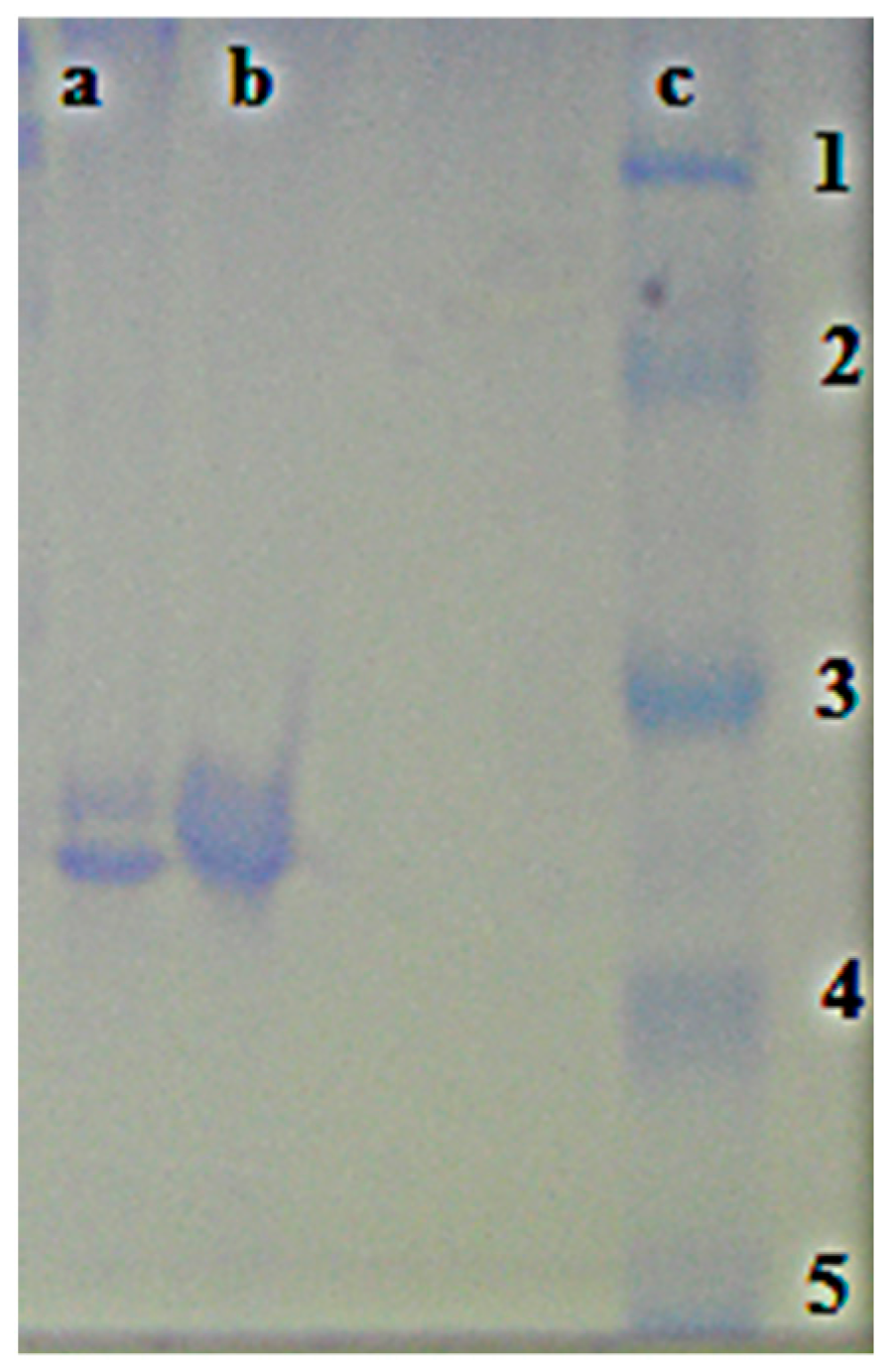 Ijms 17 01736 g003