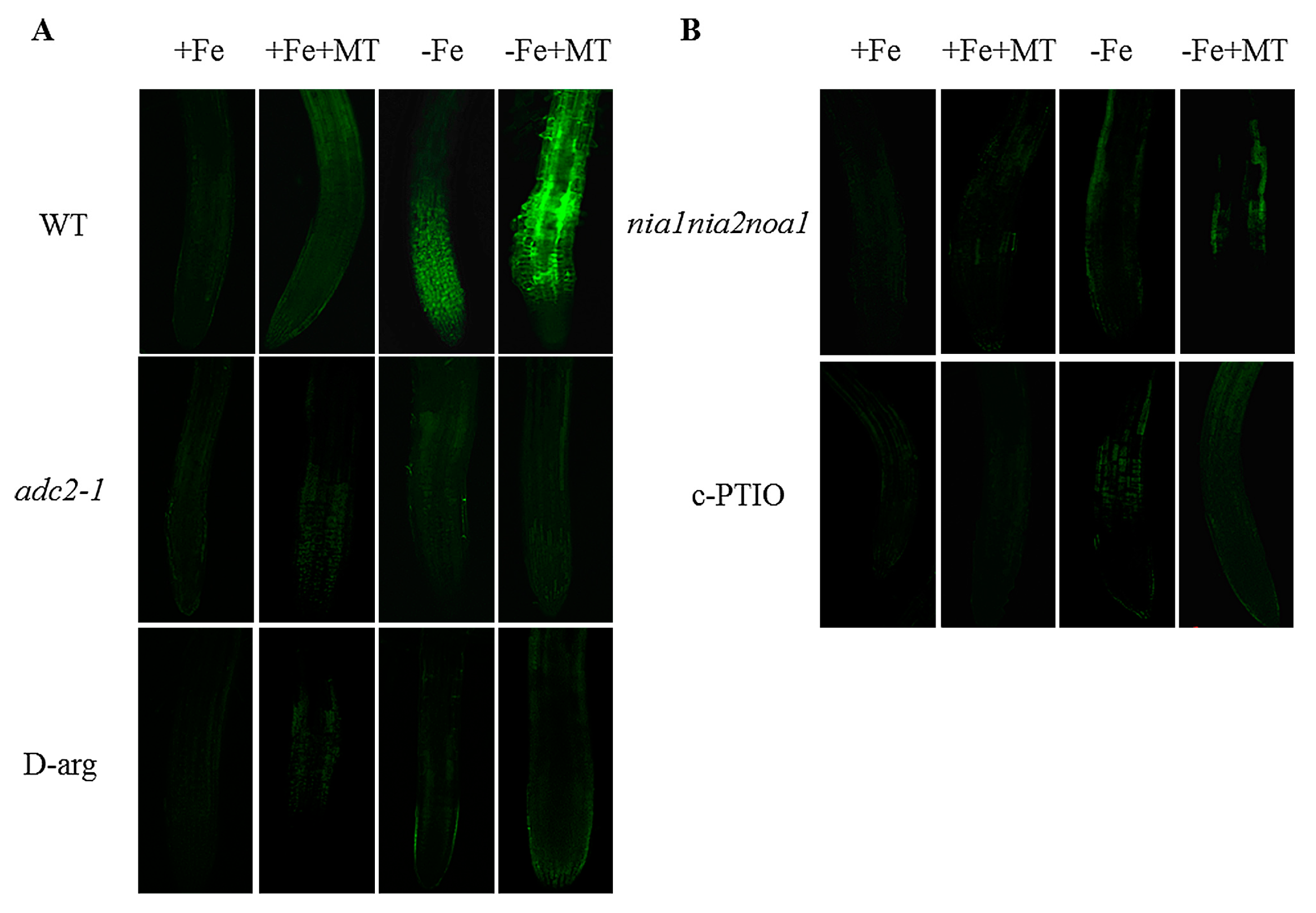 Ijms 17 01777 g005