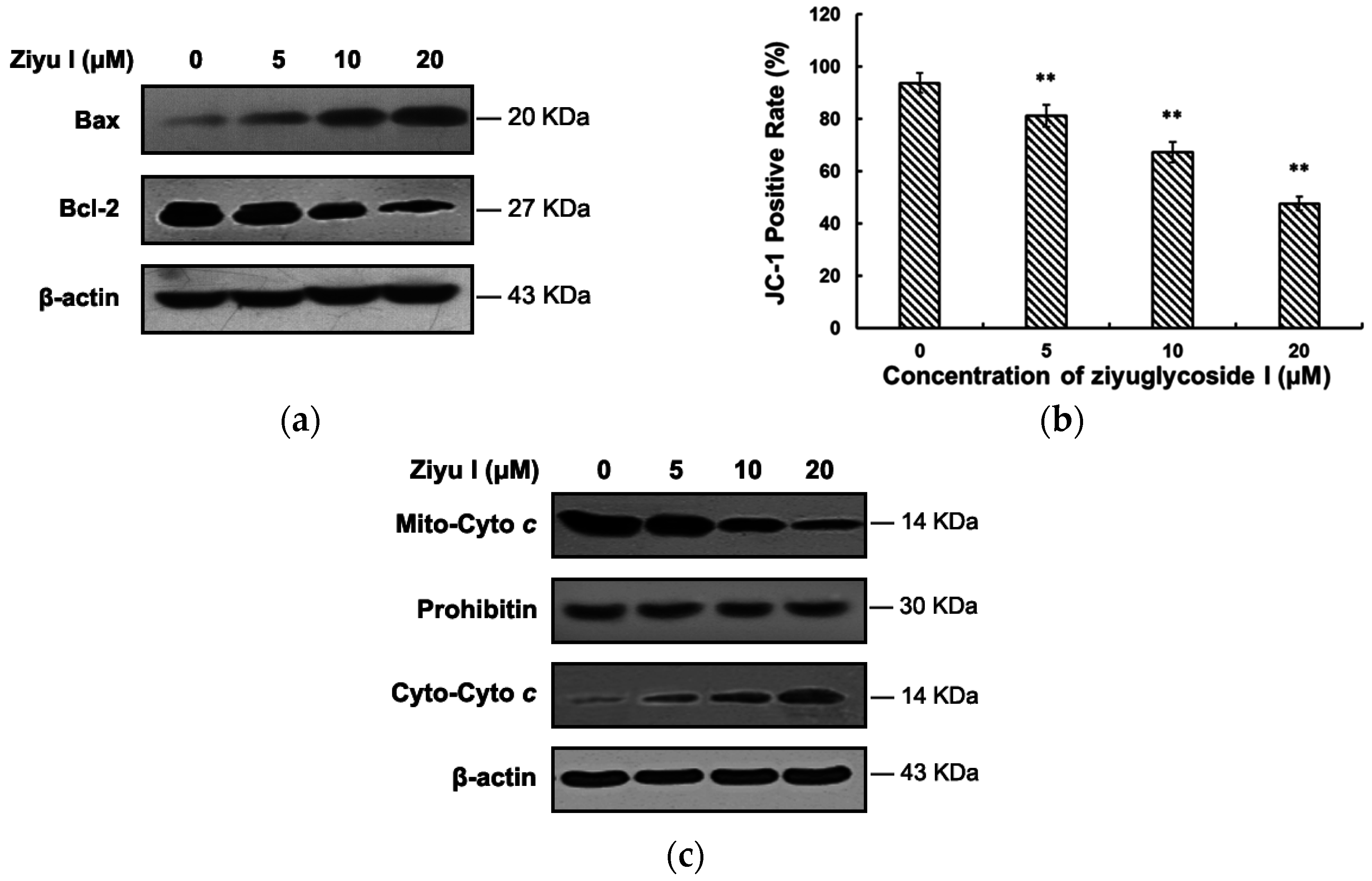 Ijms 17 01903 g007