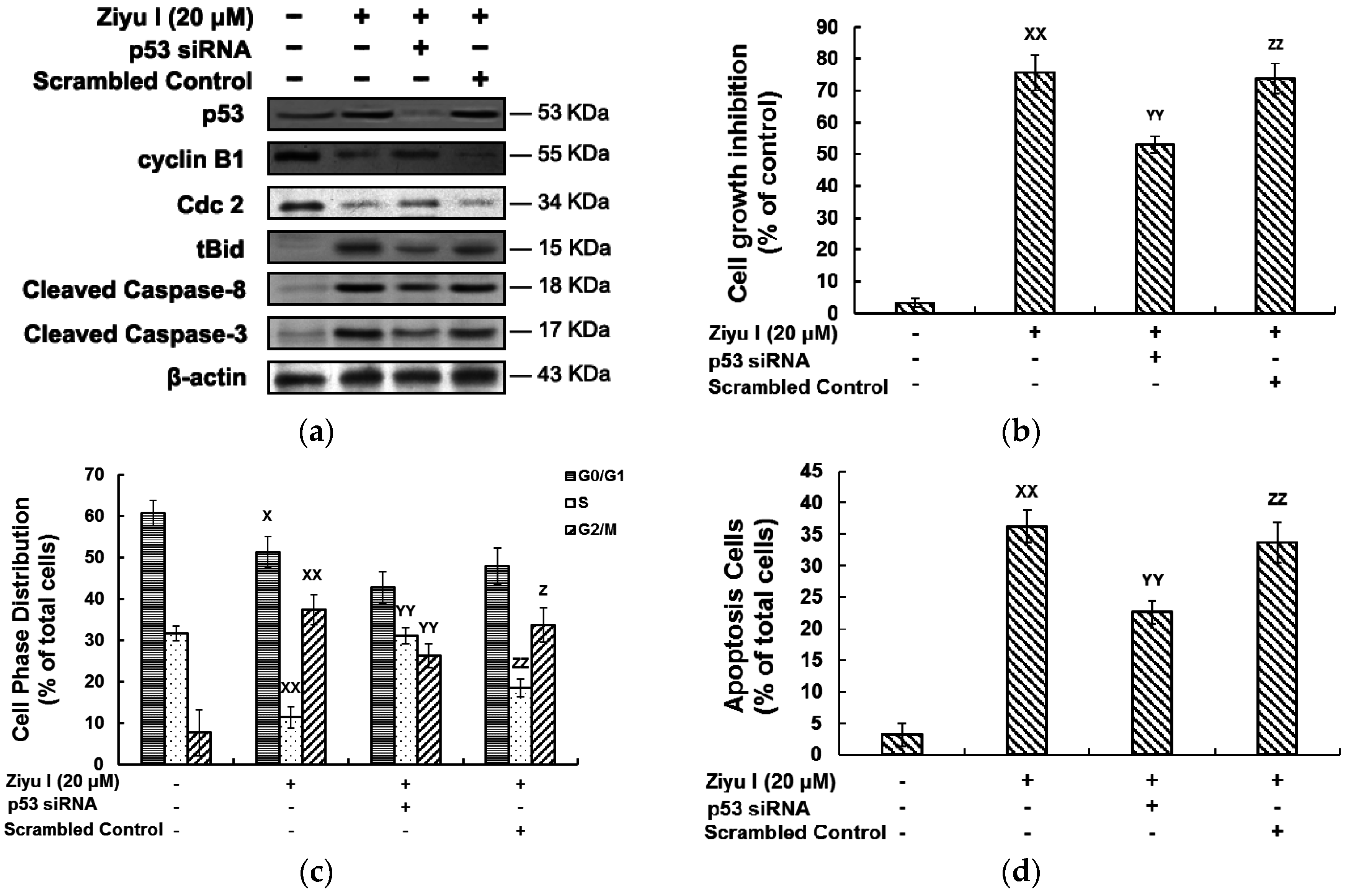 Ijms 17 01903 g009