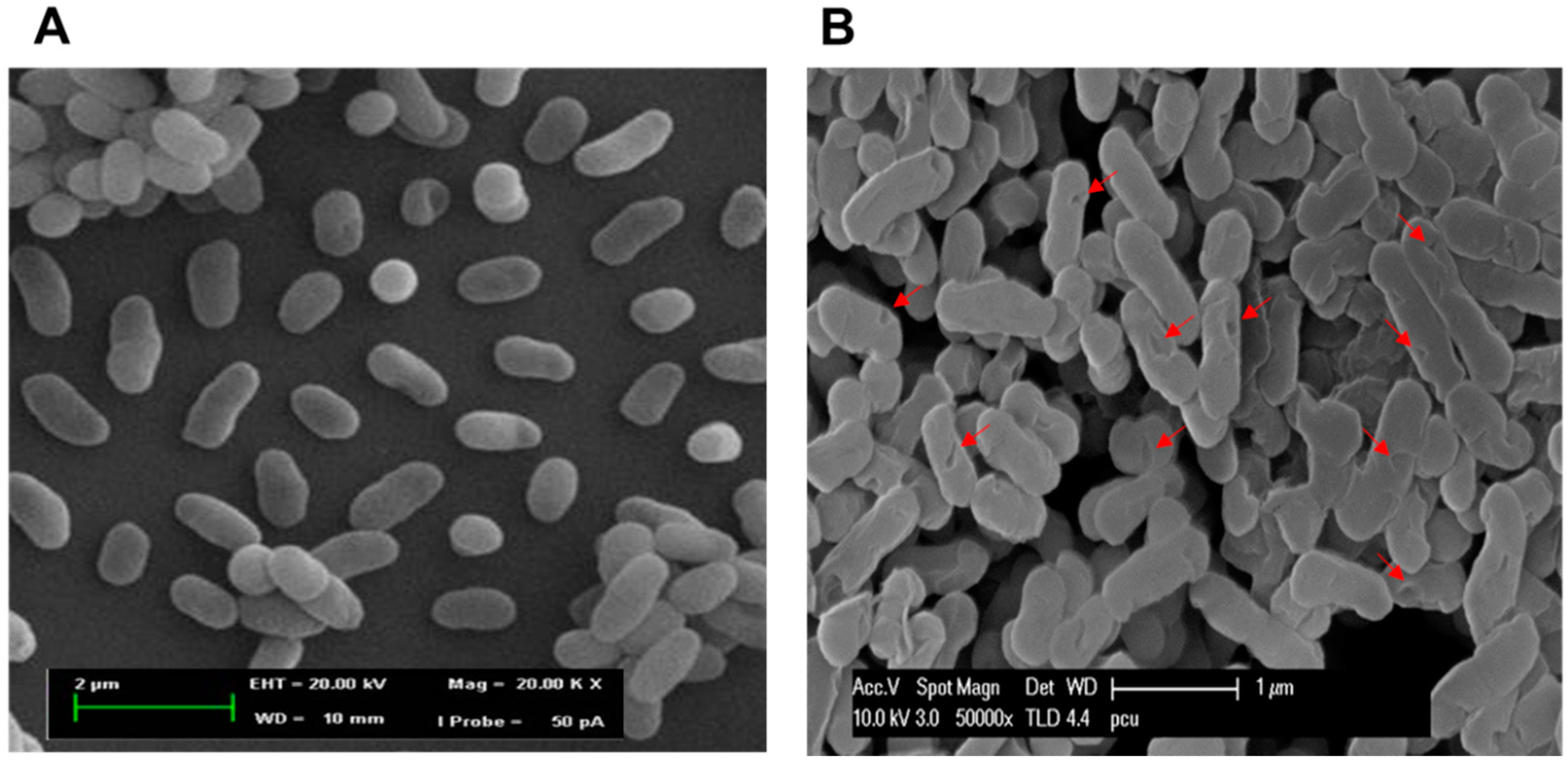Ijms 17 01904 g004