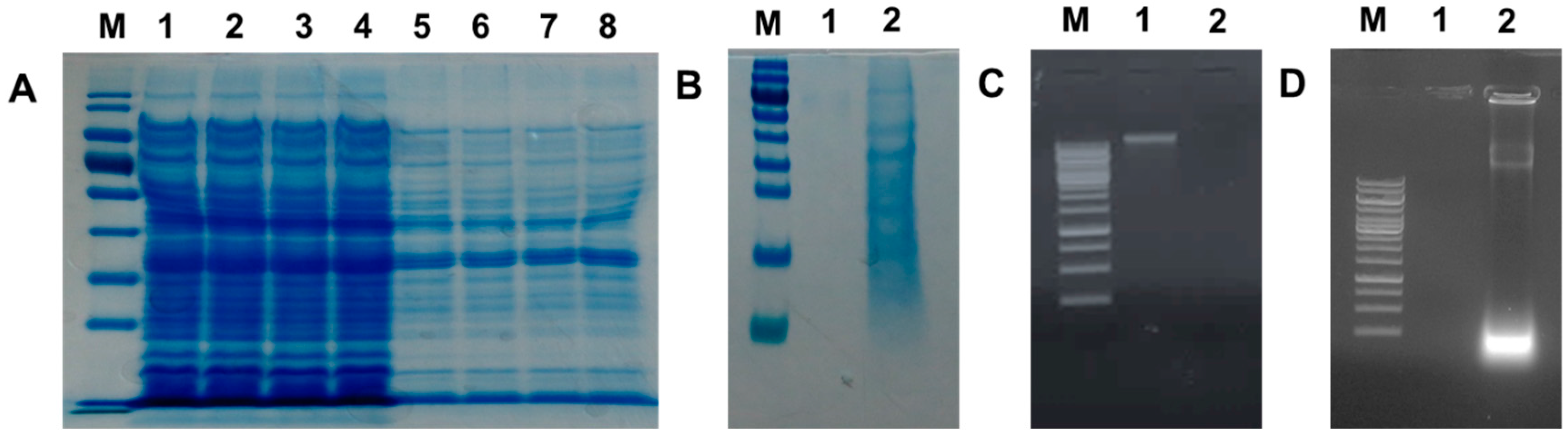 Ijms 17 01904 g005