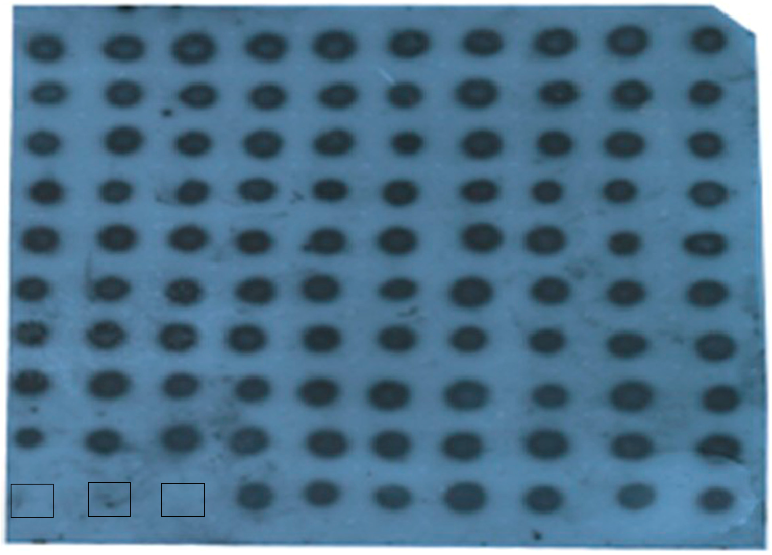 Ijms 17 01922 g001