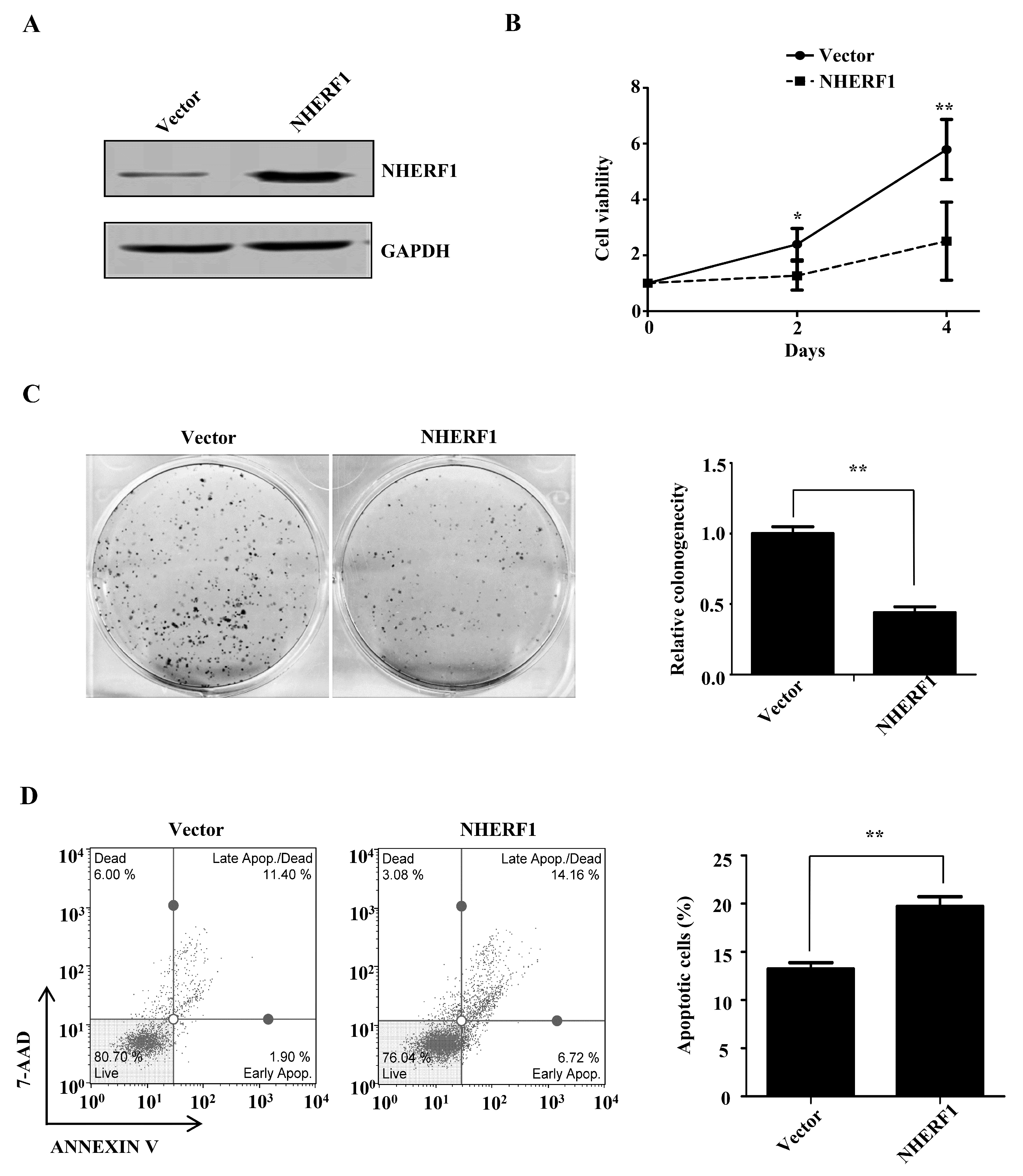 Ijms 18 00005 g002