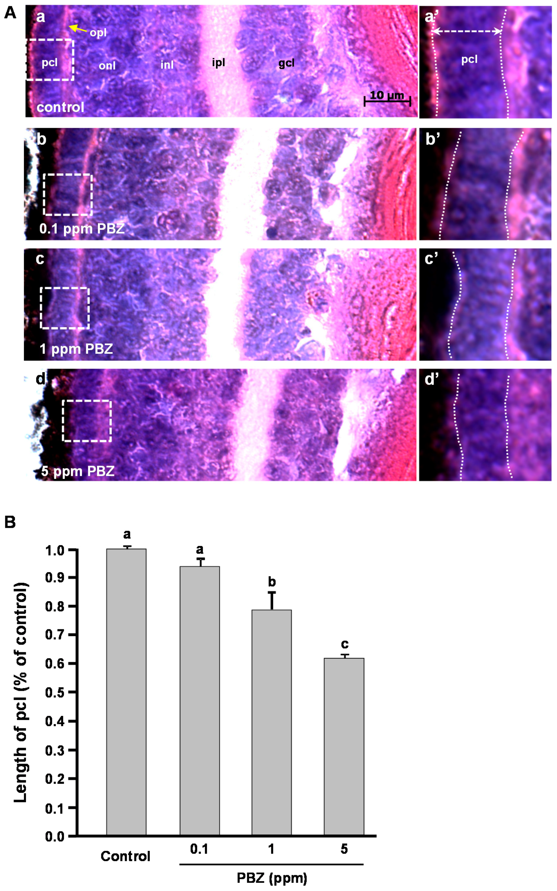 Ijms 18 00130 g002