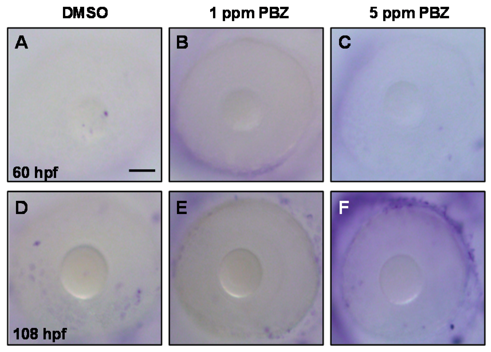 Ijms 18 00130 g009