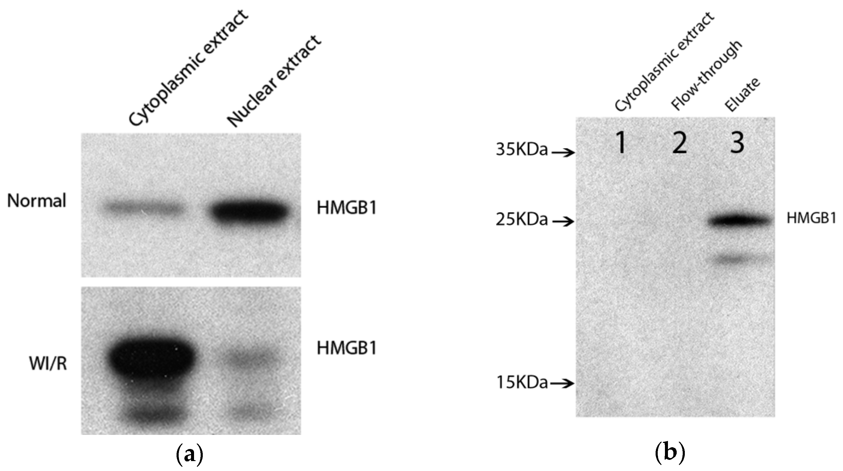Ijms 18 00167 g001
