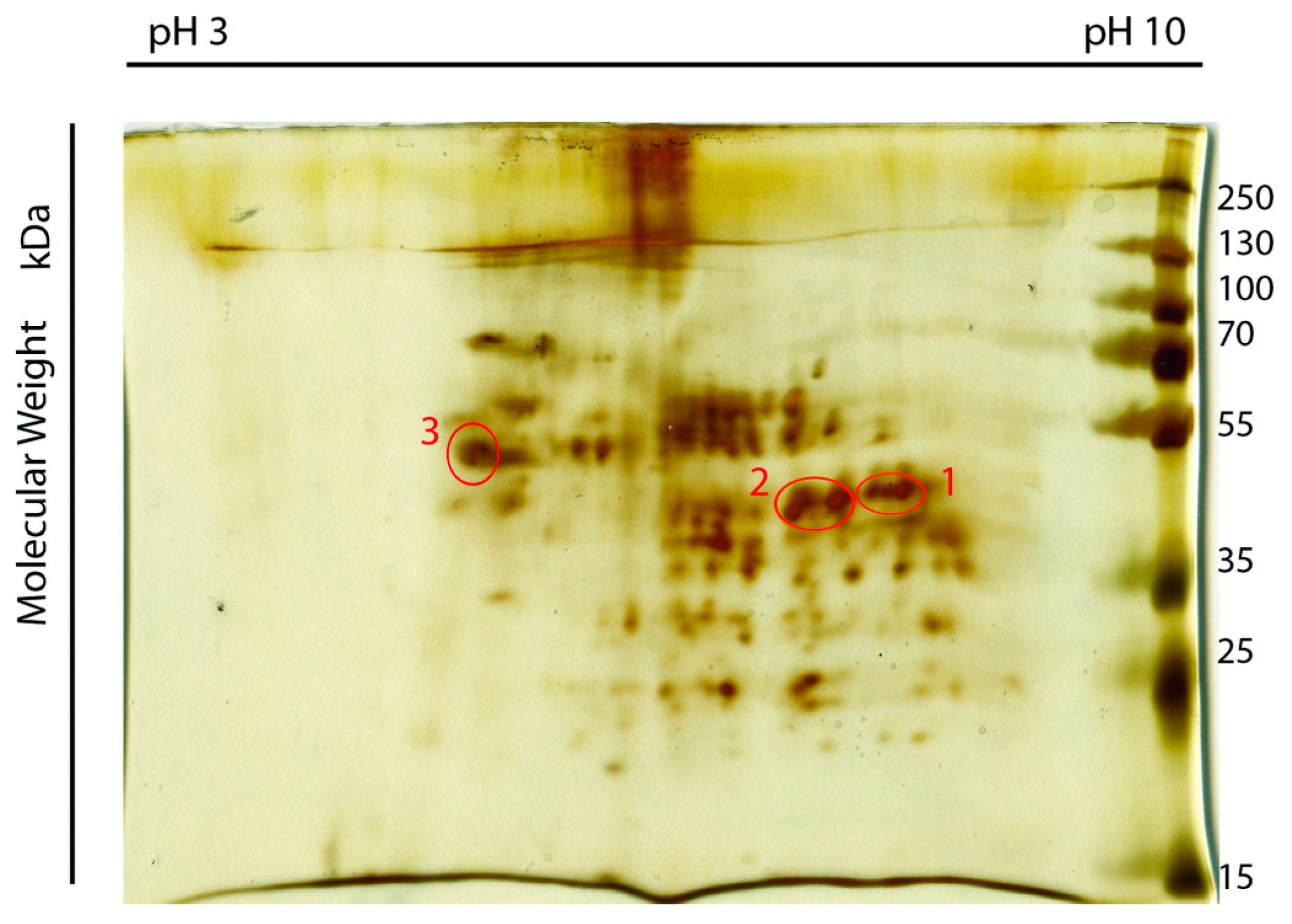 Ijms 18 00167 g002