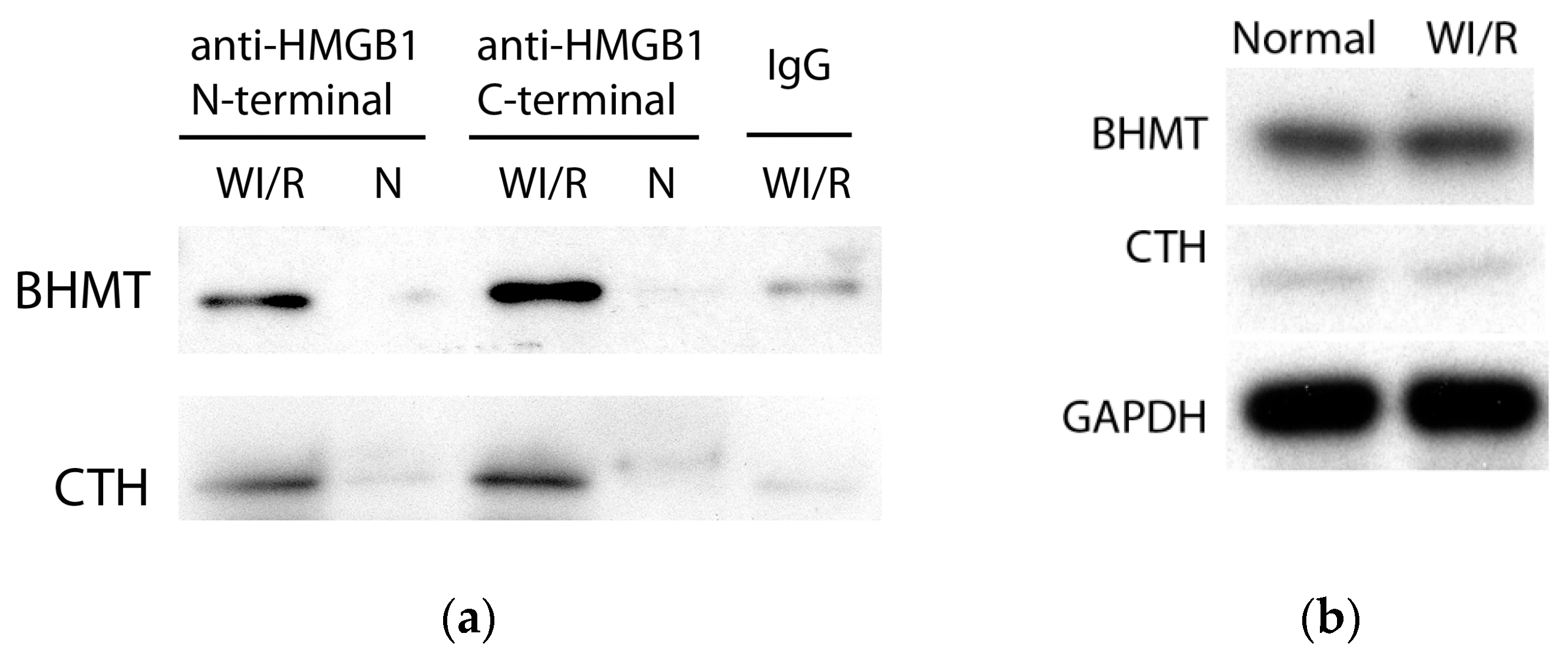 Ijms 18 00167 g003