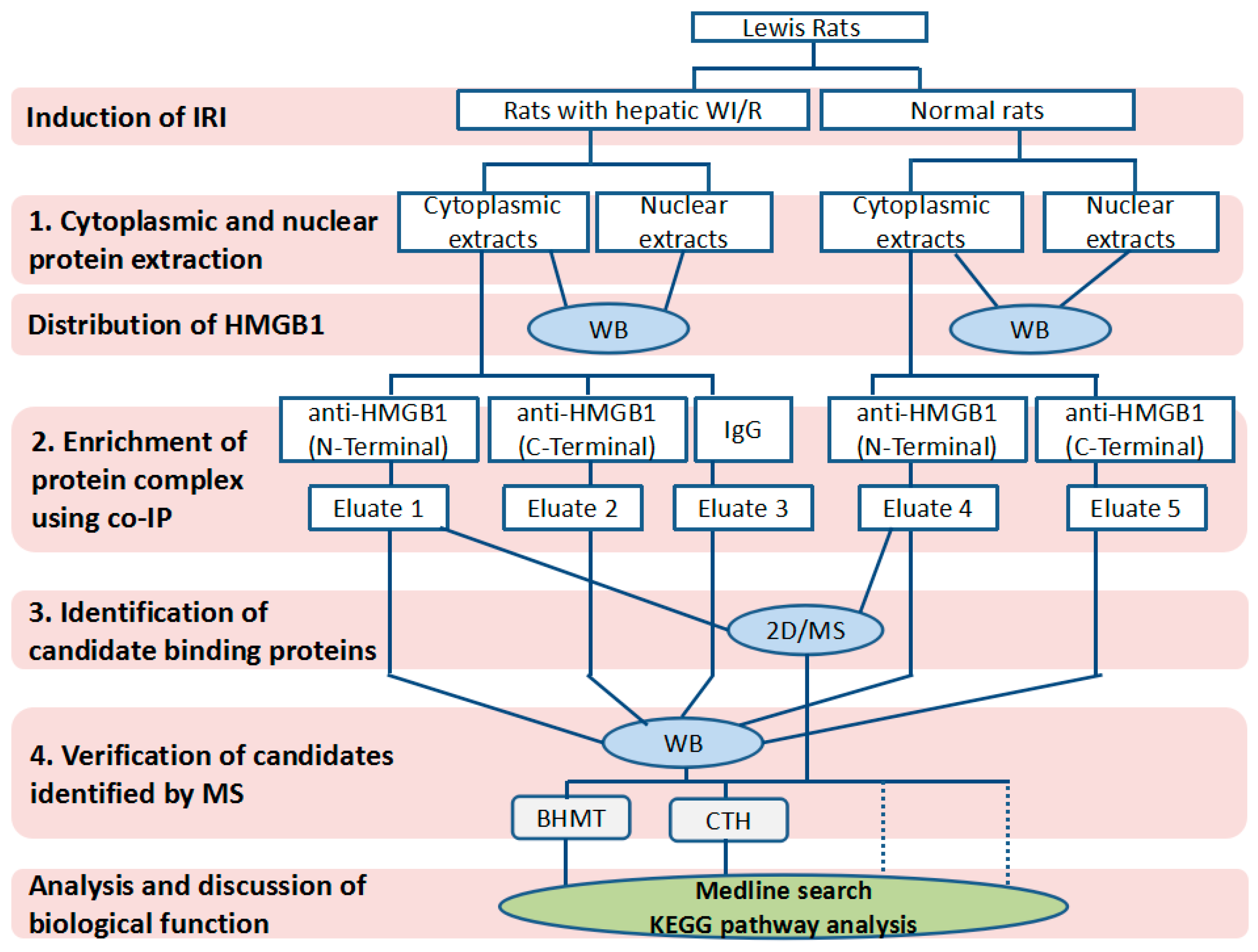 Ijms 18 00167 sch001