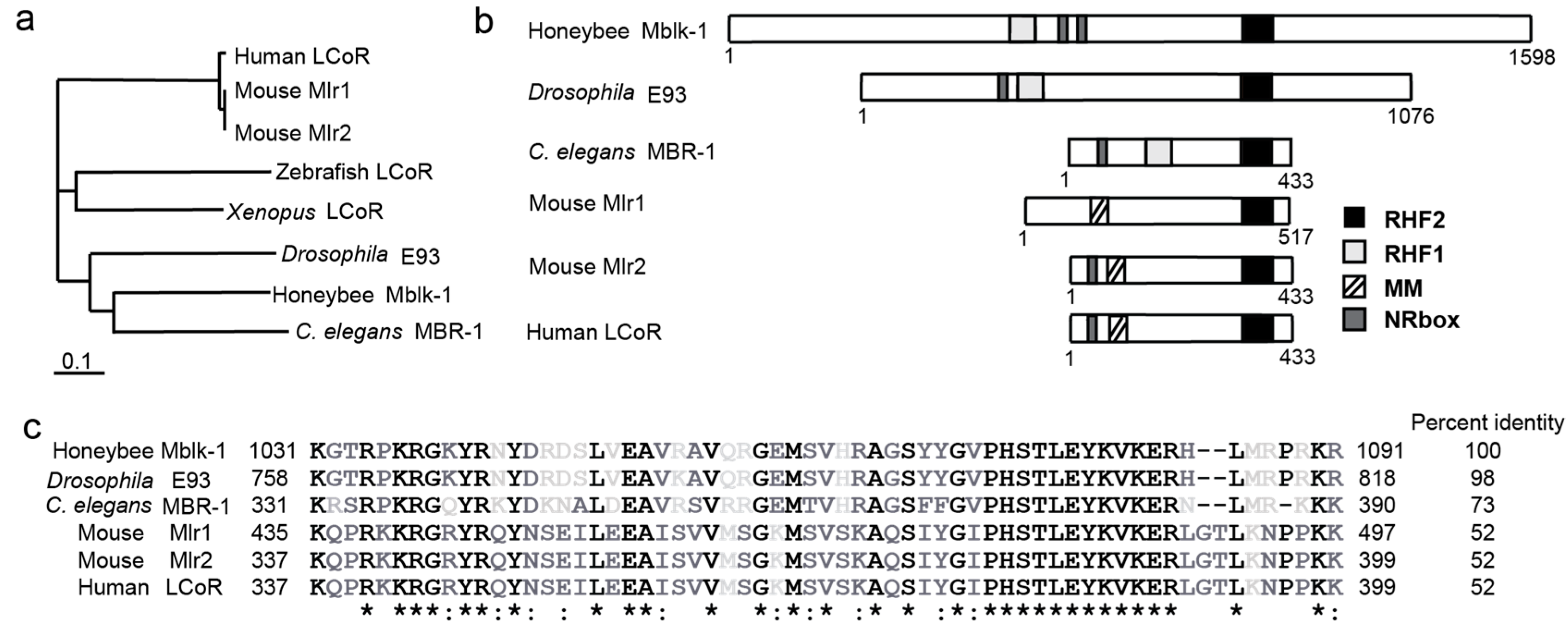 Ijms 18 00246 g001