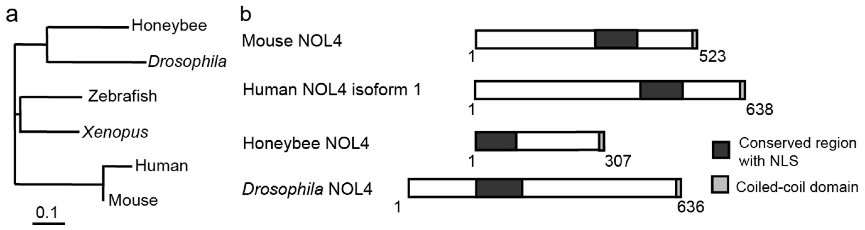 Ijms 18 00246 g003