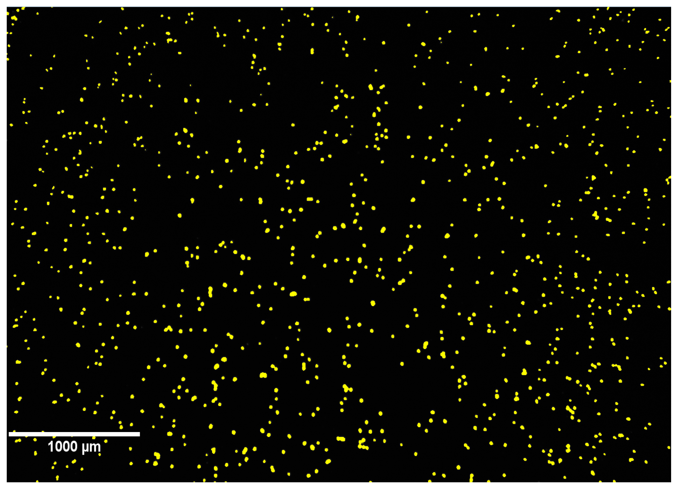 Ijms 18 00356 g005