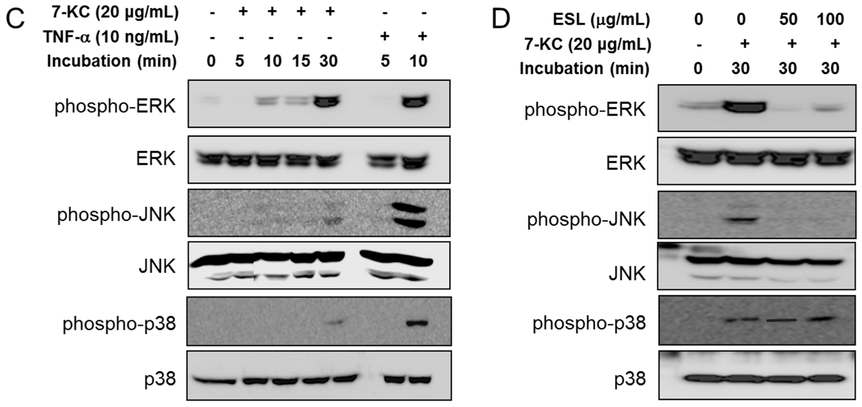 Ijms 18 00373 g003b