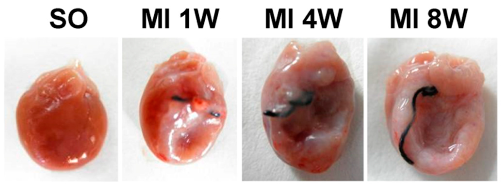 Ijms 18 00374 g001