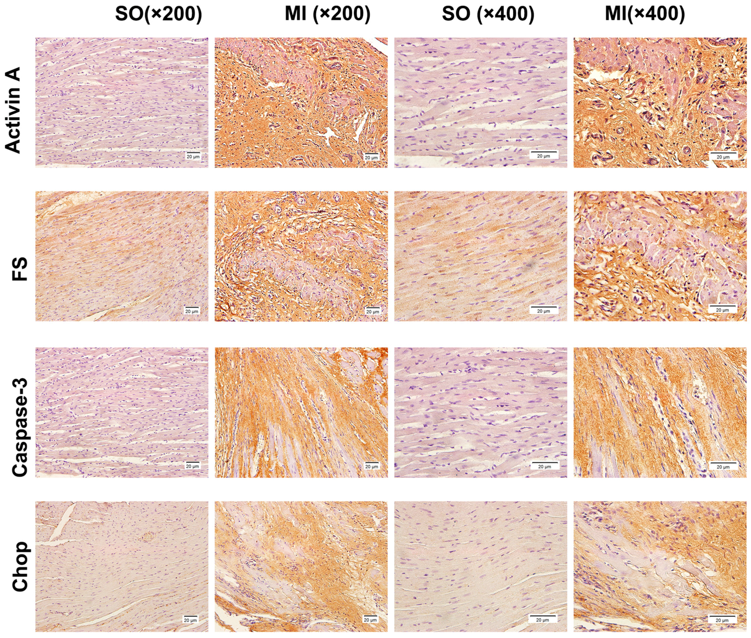 Ijms 18 00374 g003
