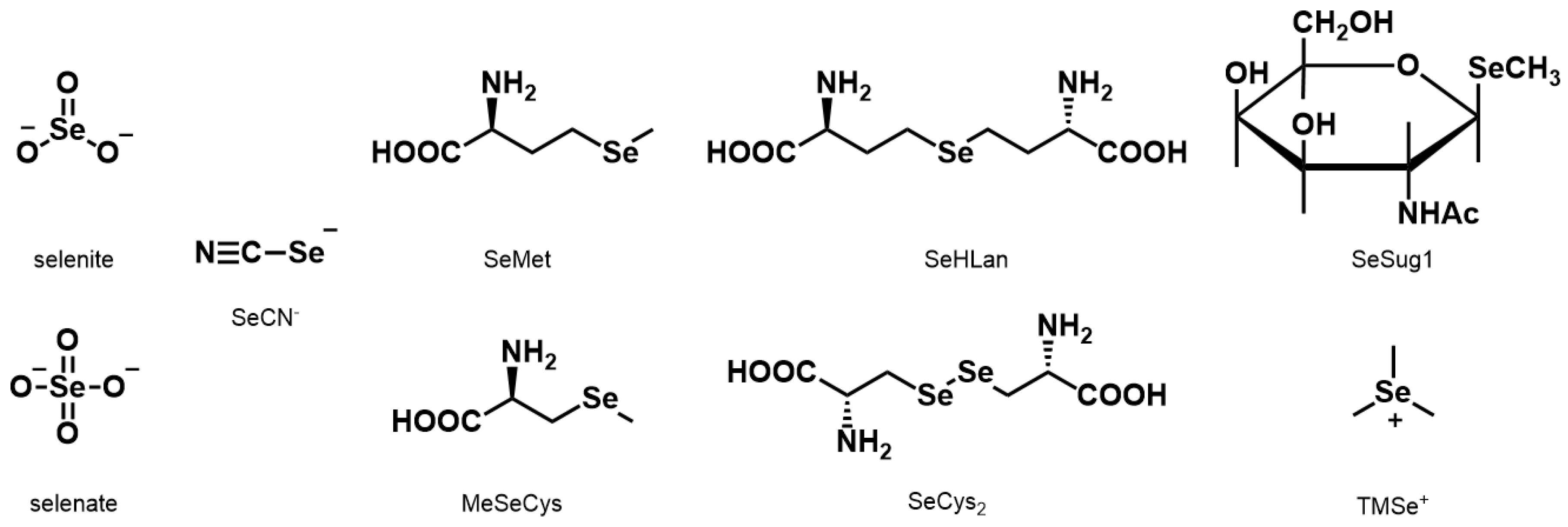 Ijms 18 00506 g001