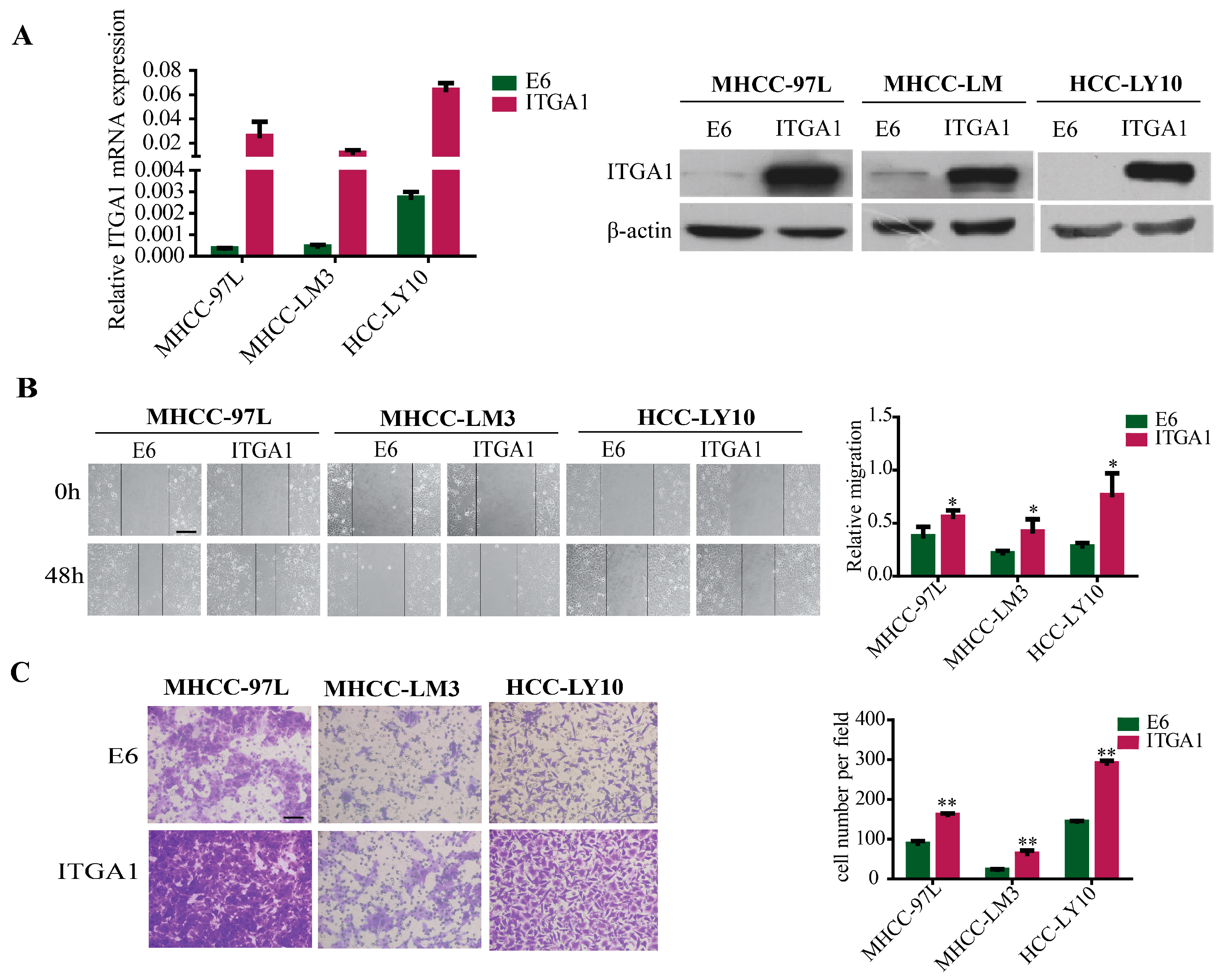 Ijms 18 00514 g002
