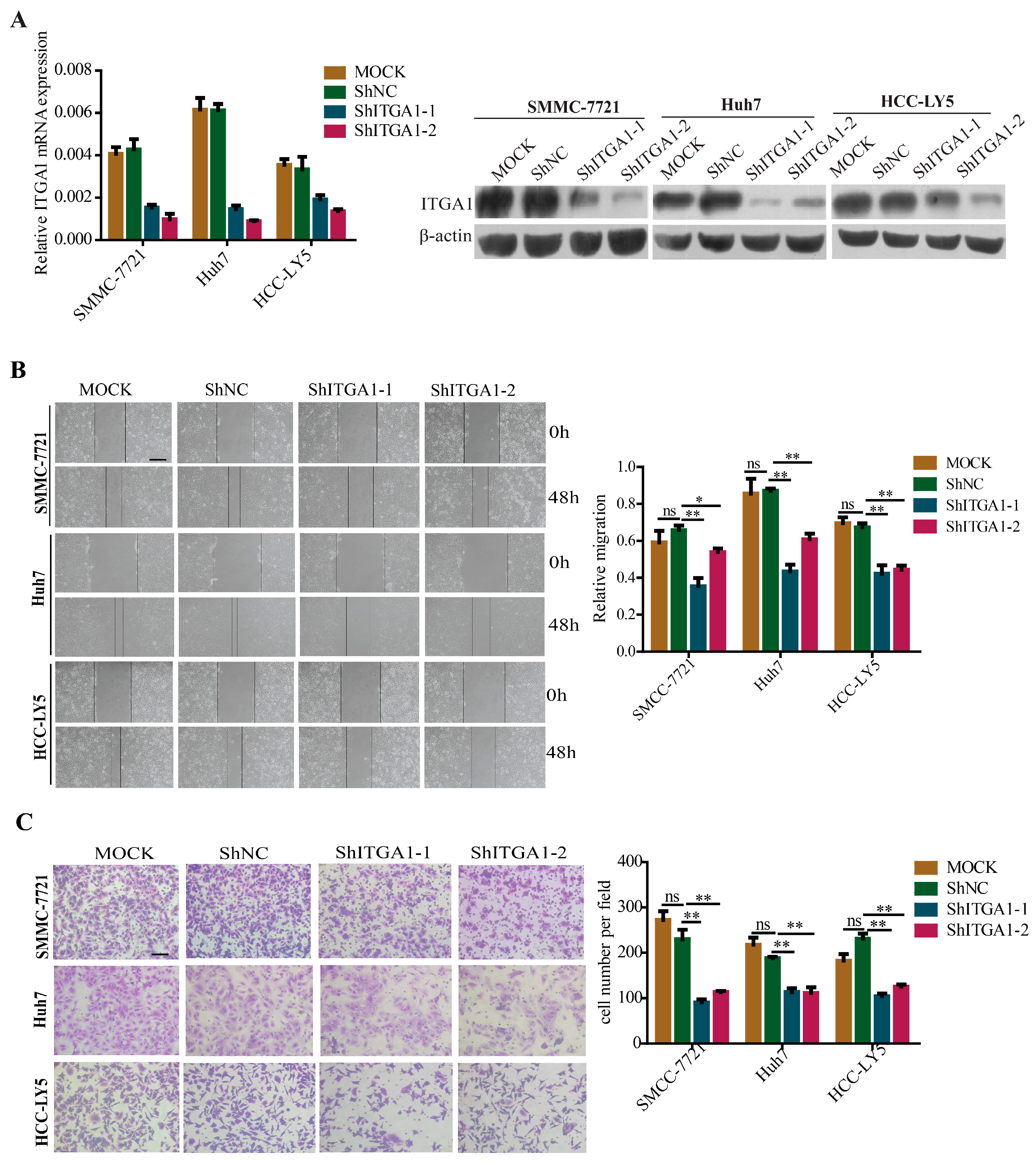 Ijms 18 00514 g003