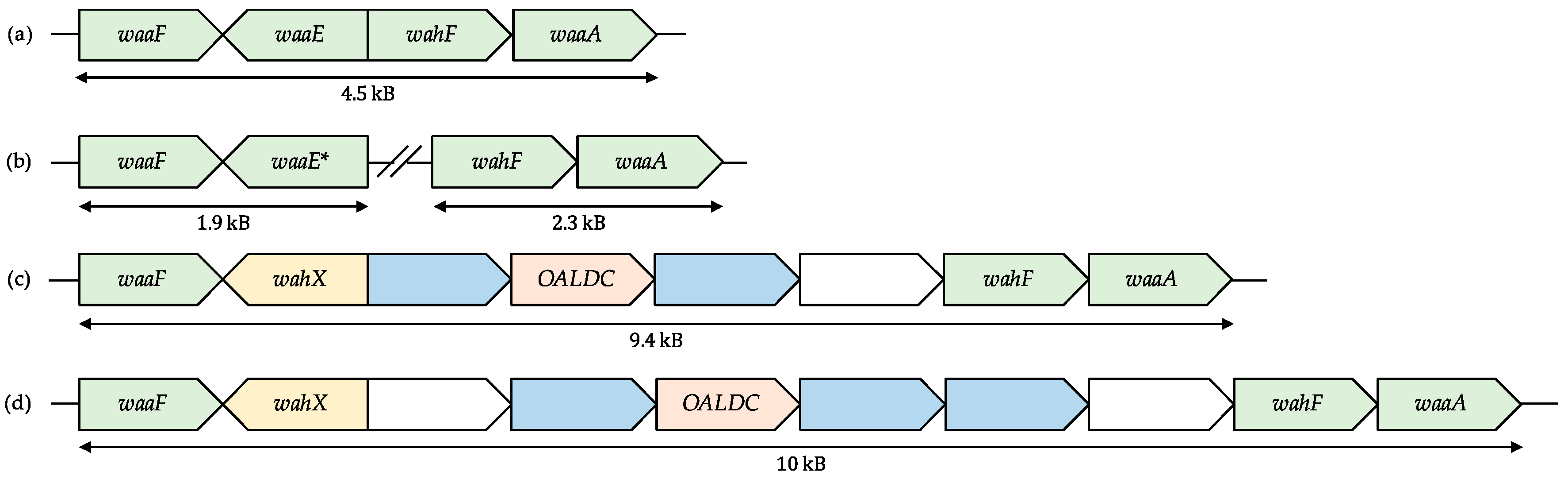 Ijms 18 00519 g002