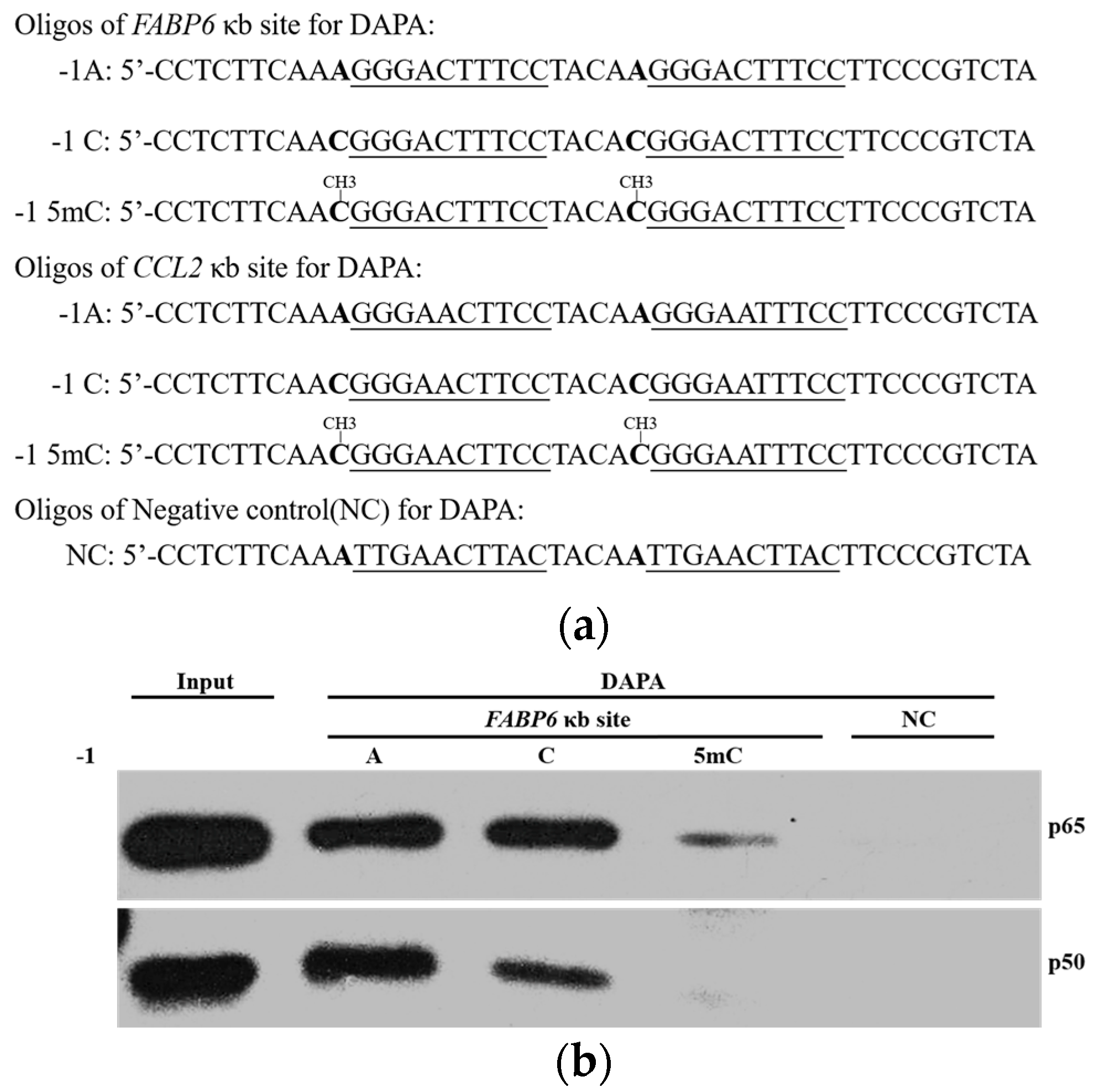 Ijms 18 00528 g003a