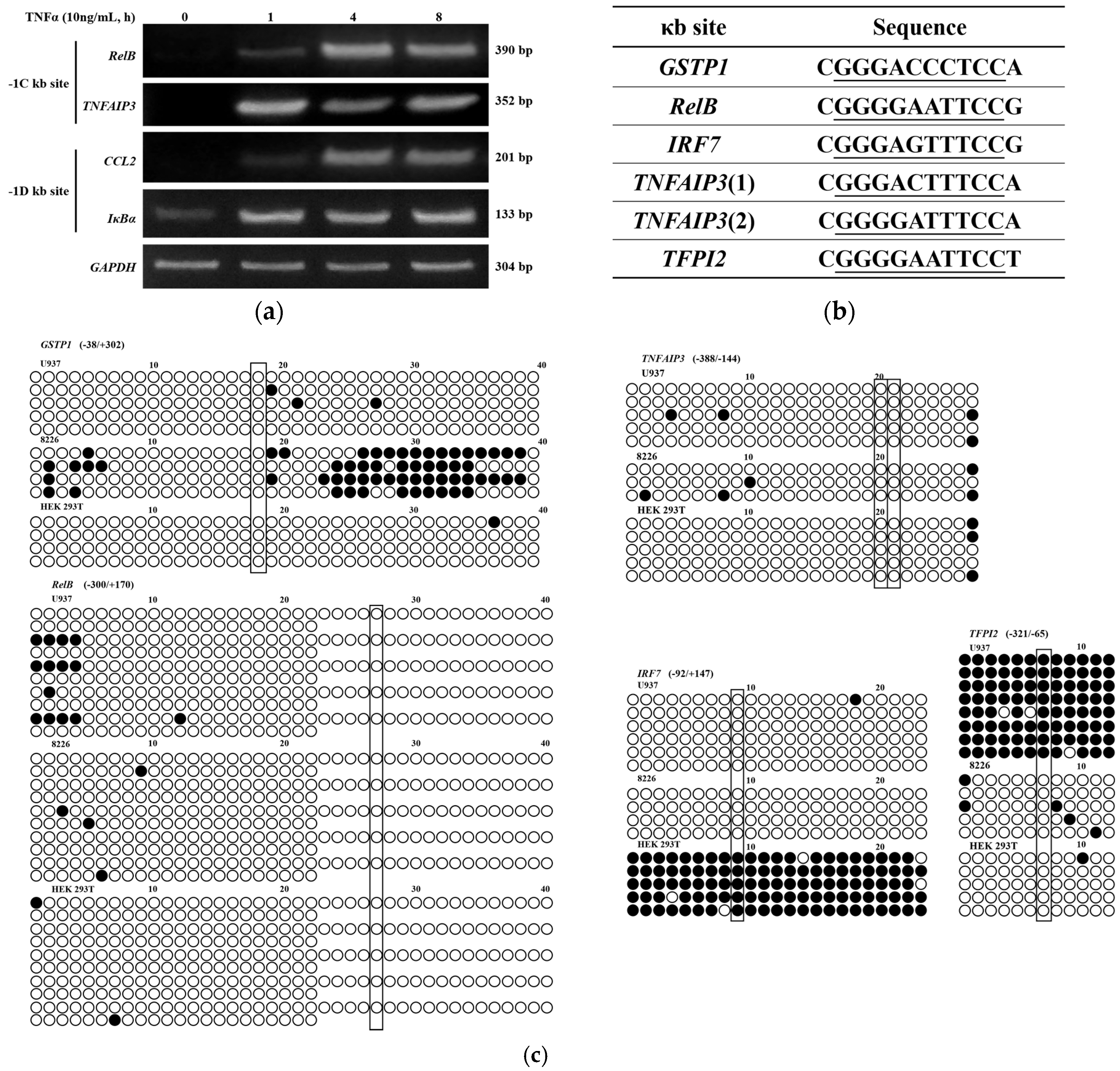 Ijms 18 00528 g004a