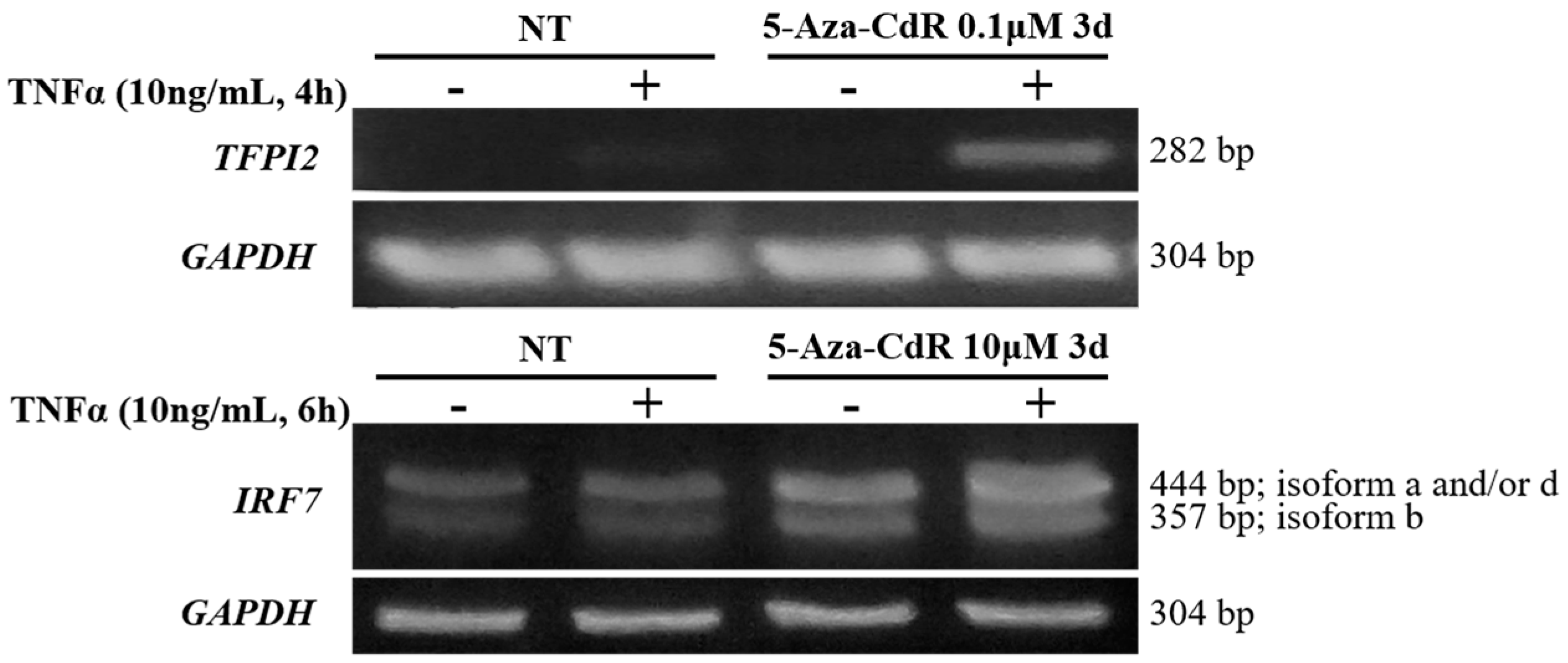 Ijms 18 00528 g005