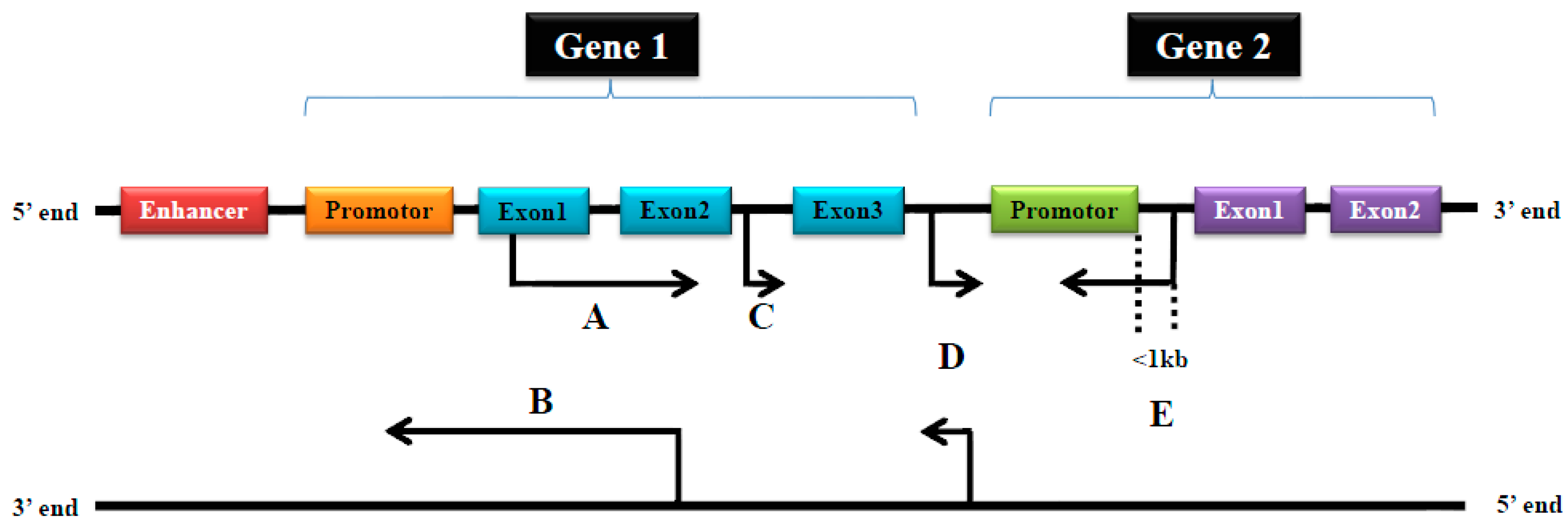 Ijms 18 00731 g001