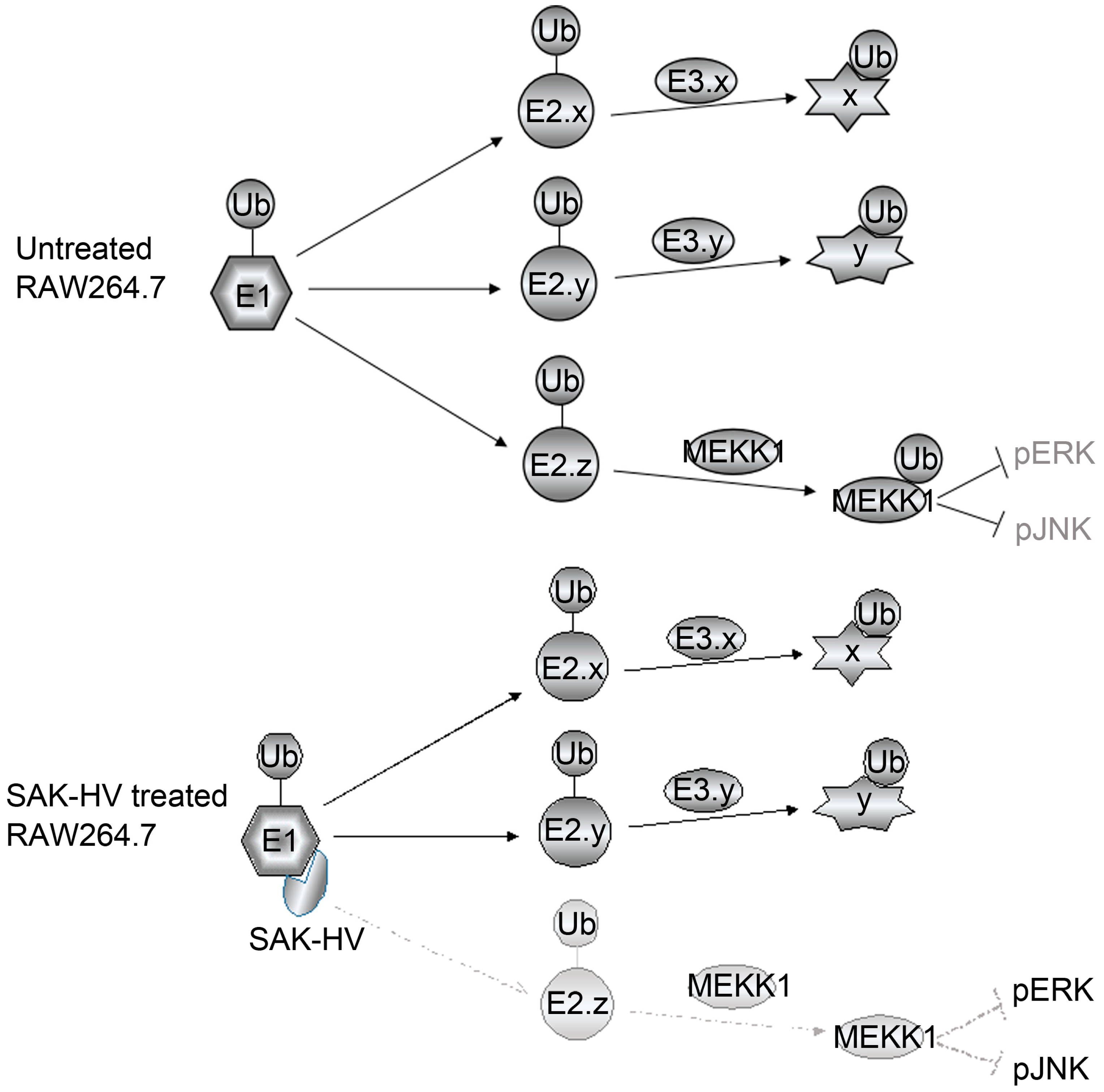 Ijms 18 00835 sch002